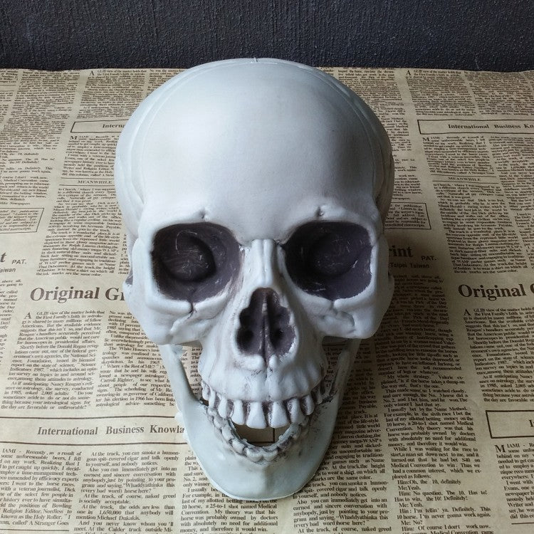 Realistic Artificial Skull Halloween Decor - Spooky Home & Party Decoration for Halloween, Haunted House, and Themed Events