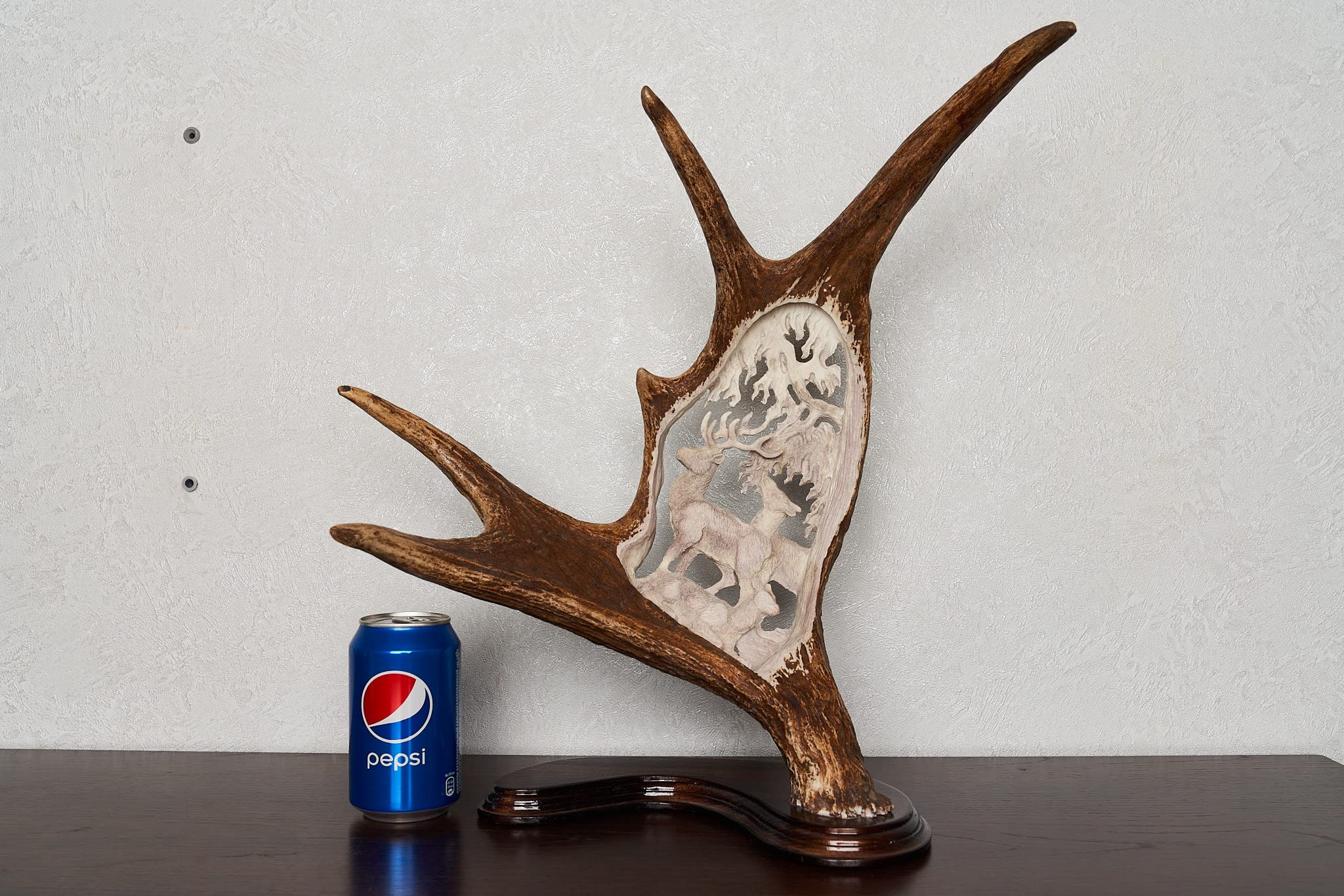 Real Moose Taxidermy Carved Antler Mount - Handcrafted Deer Horn Wall Decor for Hunting Lodge & Cabin - ST7104 | Rustic Home Decor, Man Cave Gift, Wildlife Trophy