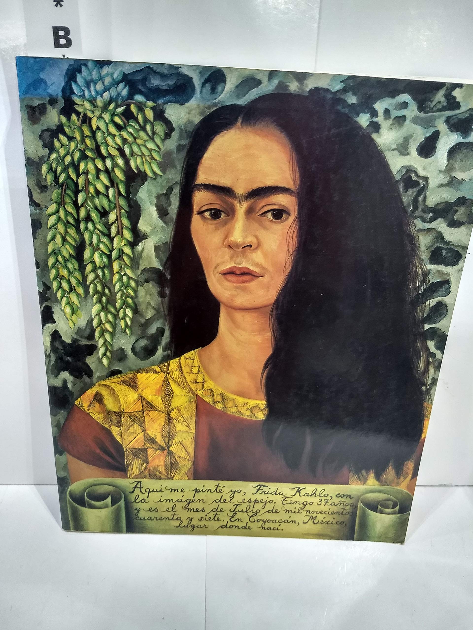 Frida Kahlo Art Book - The Blue House Biography & Paintings | Mexican Artist History, Surrealism & Feminism | Perfect for Art Lovers, Students & Home Decor