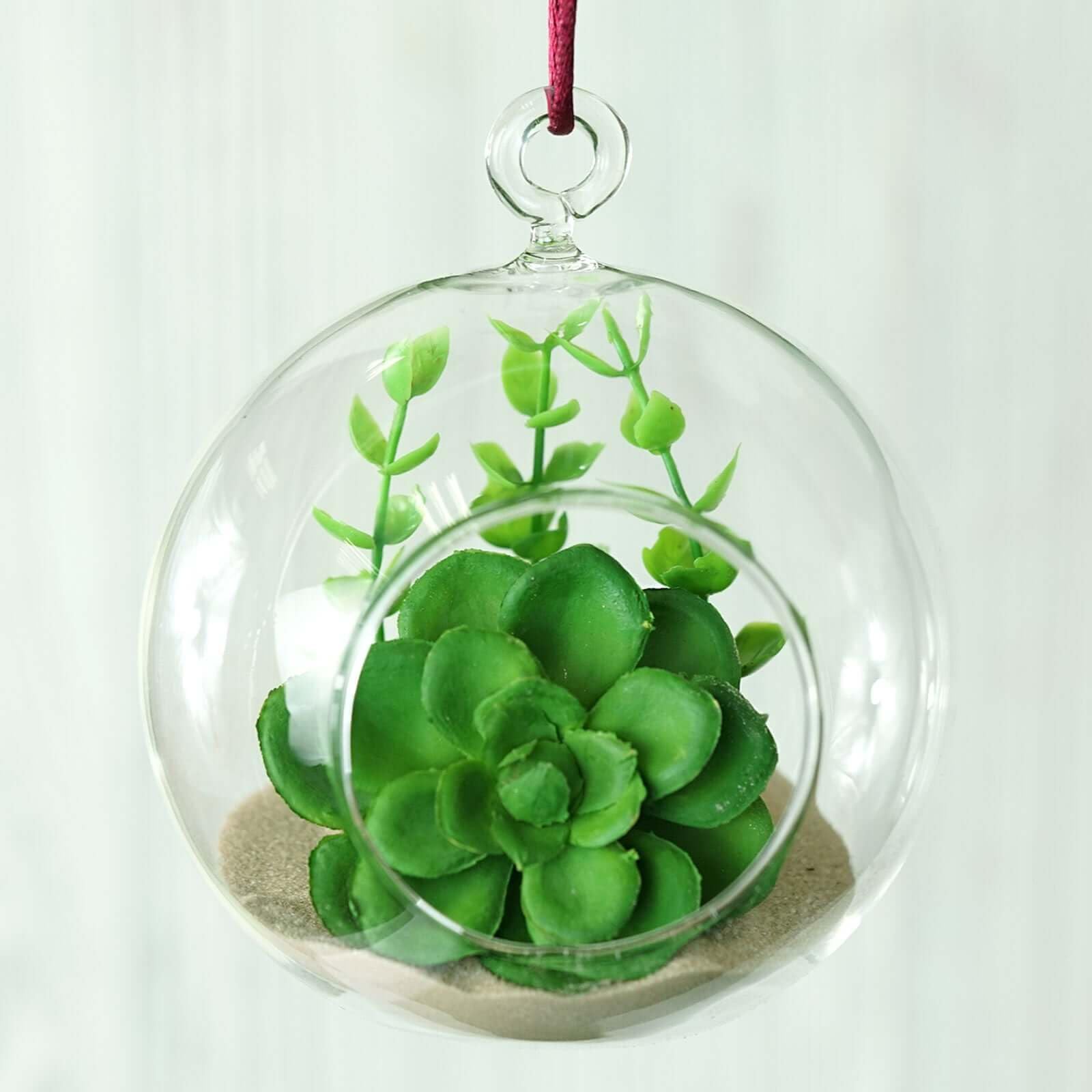 Efavormart 4-Piece Clear Glass Terrarium Set - Hanging Succulent Planters for Air Plants, Mini Cacti & Small Flowers | Perfect for Home Decor, Wedding Centerpieces & Office Desk Decorations