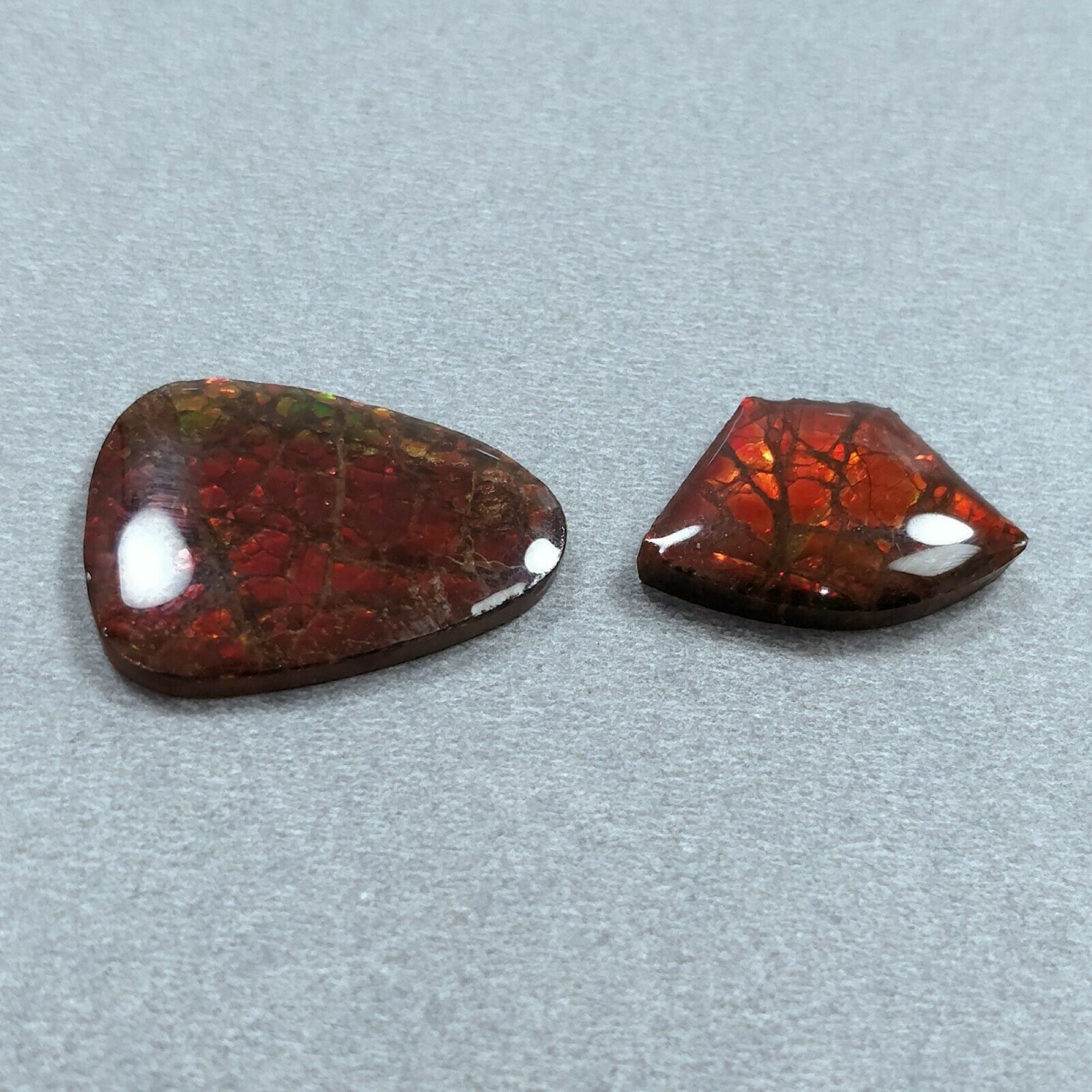Natural AMMOLITE Gemstone Cabochon - Bi-Color Fossilized Shell Jewelry Making Stone (14x20mm or 24x19mm) for Pendants, Rings & Unique Handmade Jewelry Designs