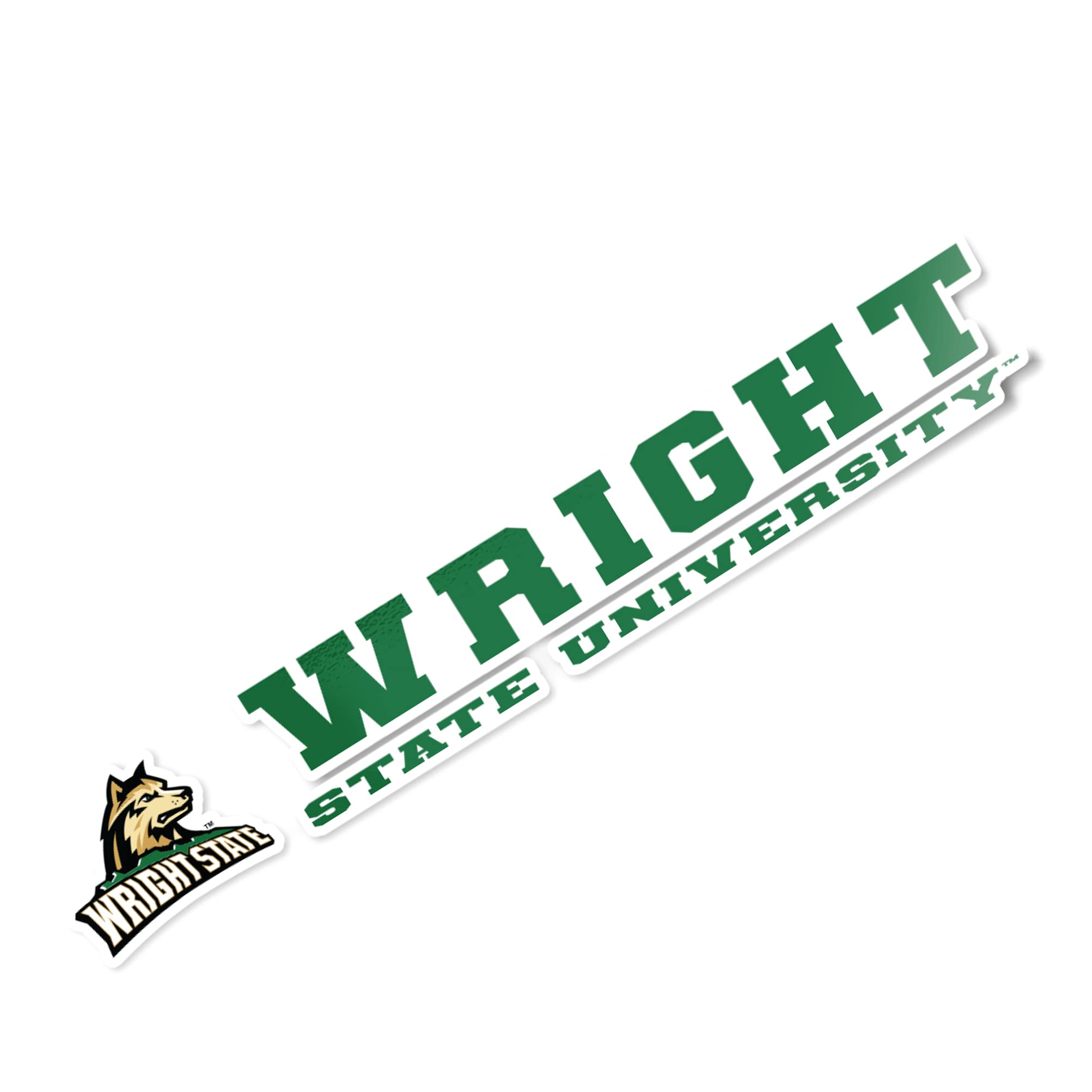 WSU Raiders Desert Cactus Vinyl Decal Sticker (8 Inch) - Wright State University Logo for Laptop, Water Bottle, Car, Scrapbook | Perfect for College Students, Alumni & Fans