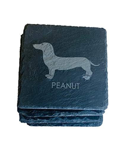 Dachshund