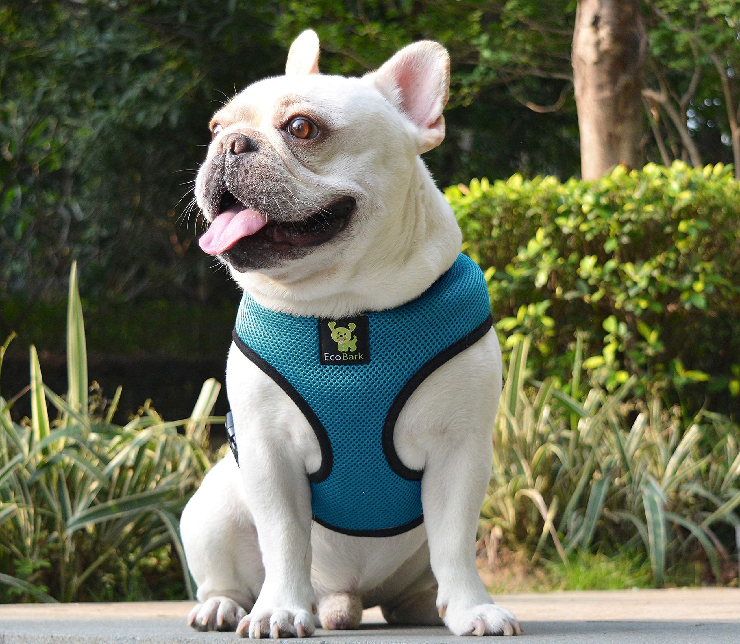 EcoBark No Pull Dog Harness - Eco-Friendly Soft Mesh Vest for Small Dogs & Puppies - Comfortable Overhead Design Prevents Choking - Perfect for Toy Breeds (Small, Teal Blue) - Ideal for Daily Walks, Training & Outdoor Adventures