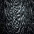 Snake Skin Black