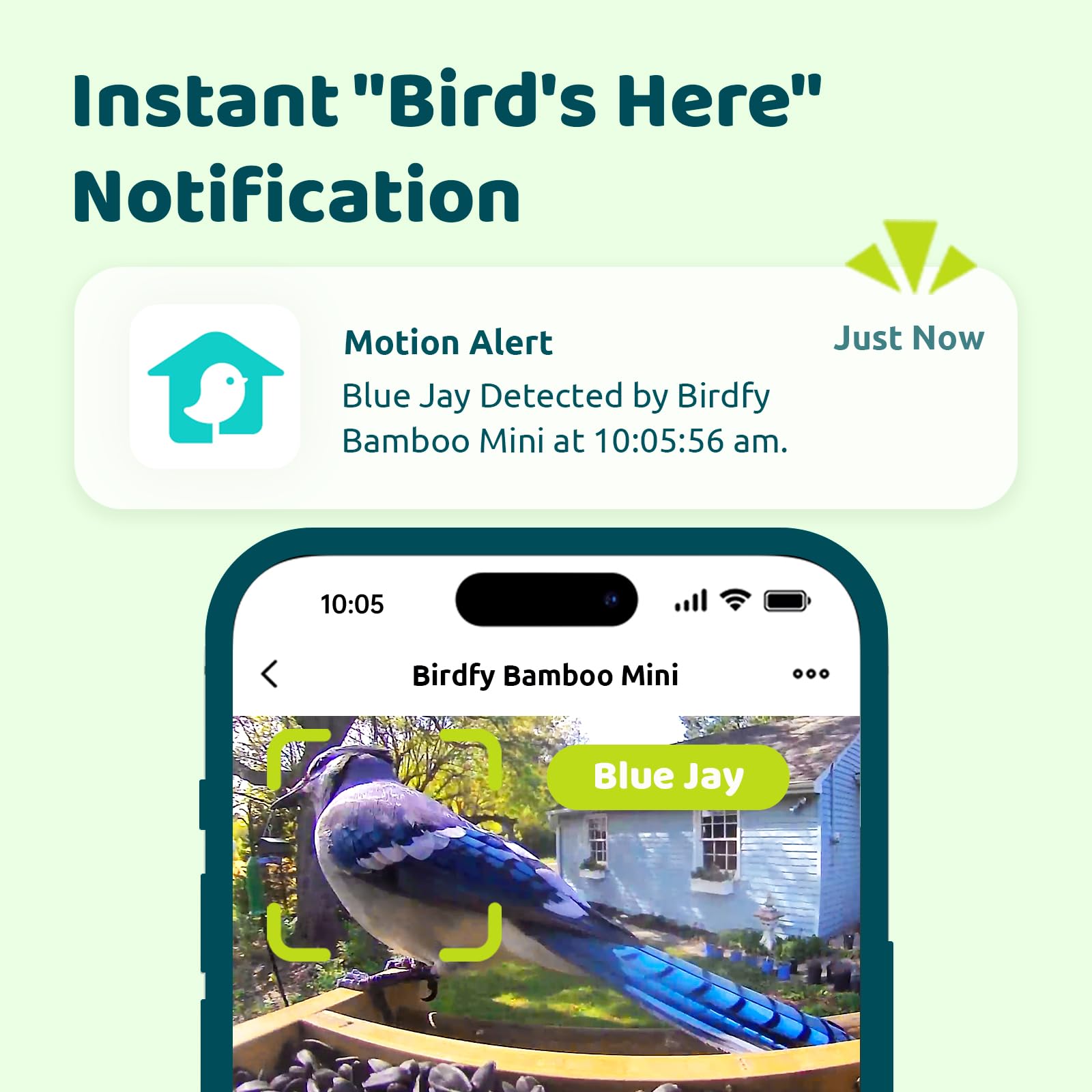 AI Smart Bird Feeder with Camera - Solar Powered Bamboo Birdhouse | Identifies 6000+ Species with Motion Detection | Perfect for Backyard Birdwatching & Nature Lovers Gift