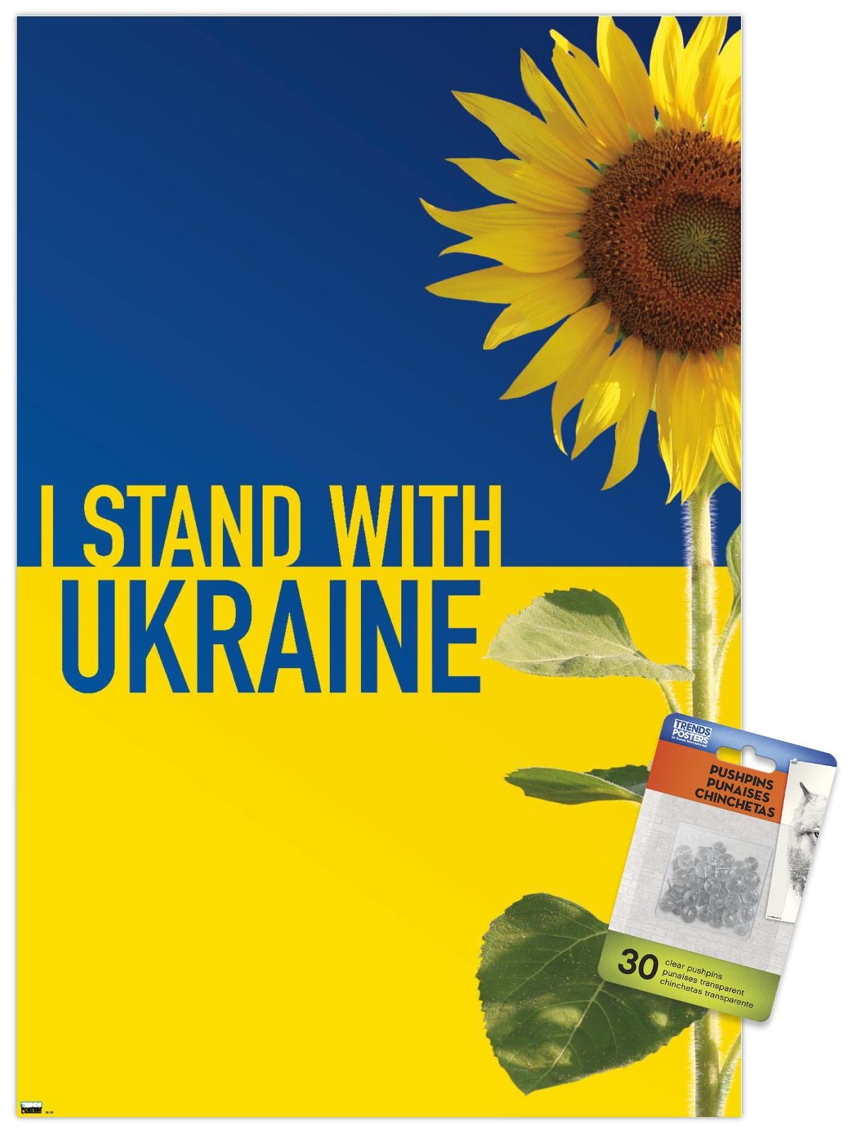 I Stand With Ukraine Wall Poster - Trendy Motivational Decor with Push Pins - Perfect for Home, Office & Classroom Support Displays