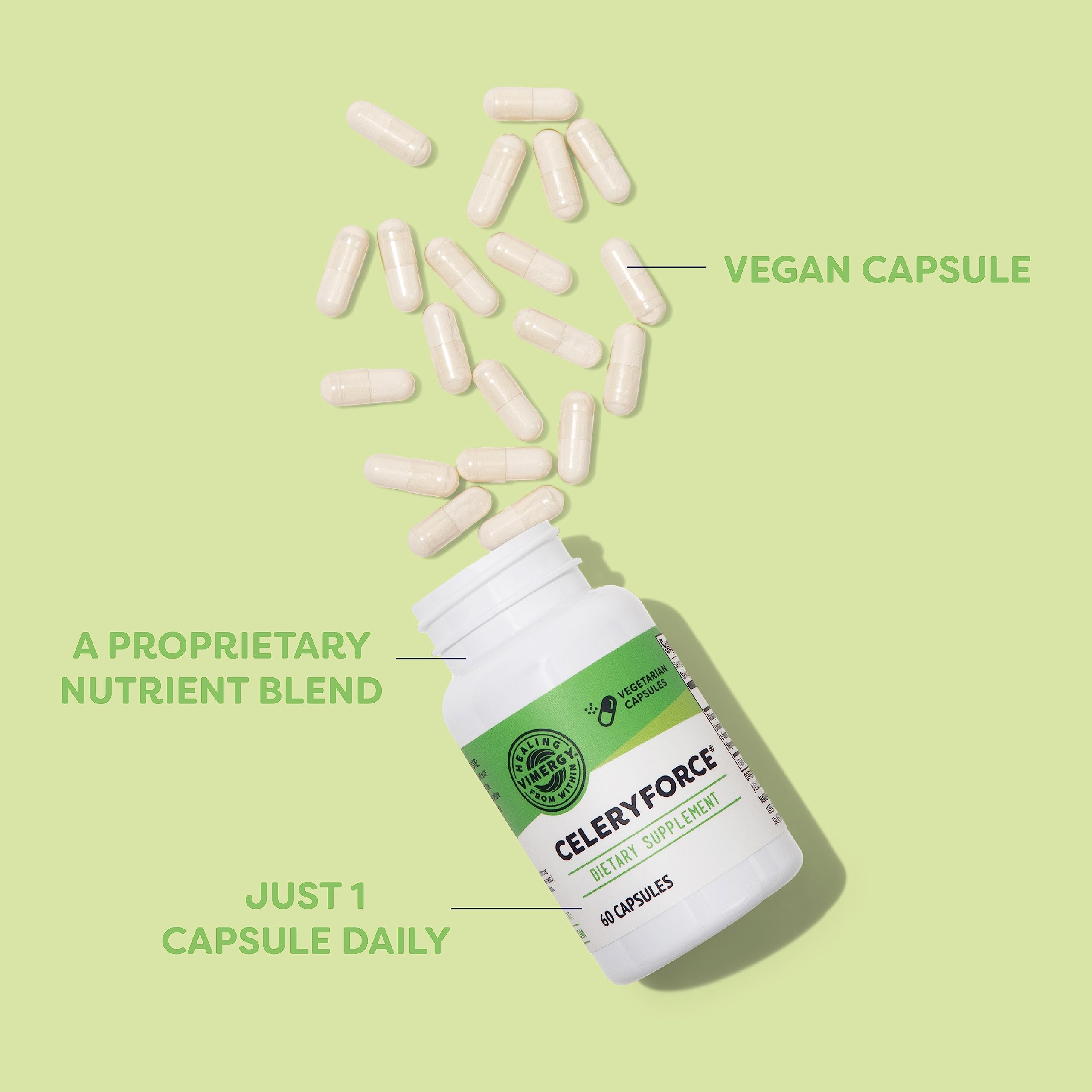 Vimergy Celeryforce – Organic Celery Seed Extract with Essential Nutrients & Amino Acids – Supports Digestion, Hydration & Wellness – Kosher, Vegan, Gluten-Free – 60 Capsules – Perfect for Daily Supplement & Active Lifestyle