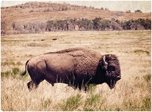 Buffalo I
