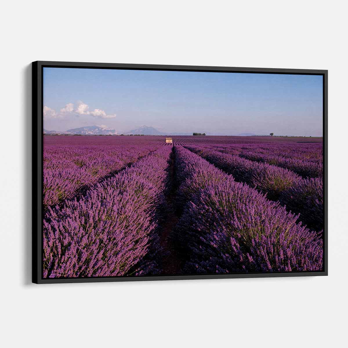 Purple Lavender Field Wall Art Canvas Print - 1284 Size - Home & Office Decor - Perfect for Living Room, Bedroom, or Office Wall Decoration