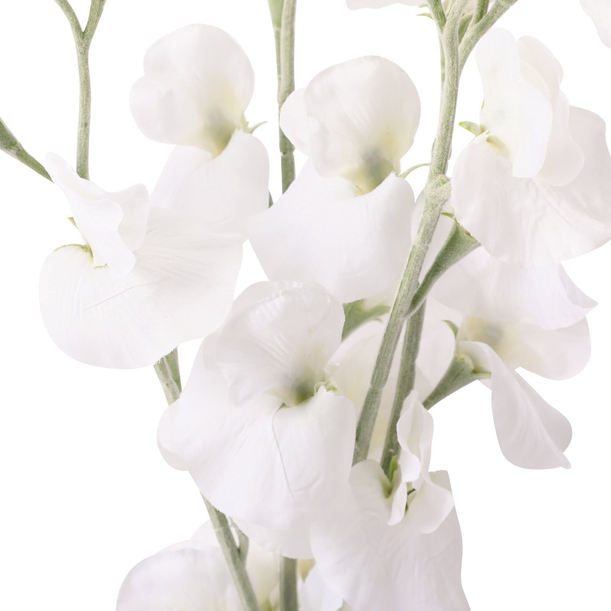 Sweet Pea Mini Bouquet - Elegant White Fresh Flowers for Weddings, Home Decor & Gifts | Perfect for Centerpieces, Bridal Bouquets & Special Occasions