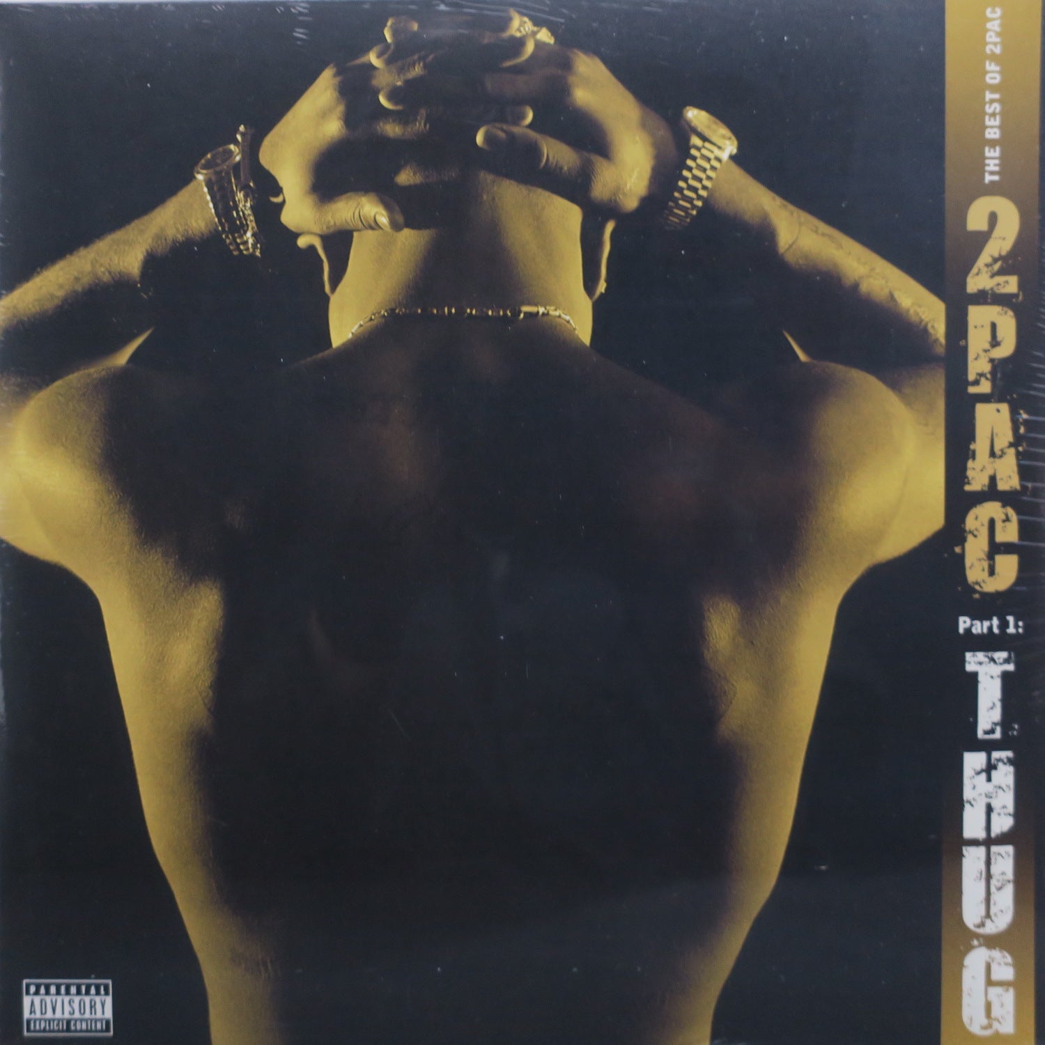 2Pac 'Best Of 2Pac Part 1: Thug' Vinyl Record 2LP - Limited Edition Hip Hop Music for Collectors & Home DJs
