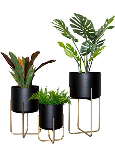 Black Pots Pack of 3