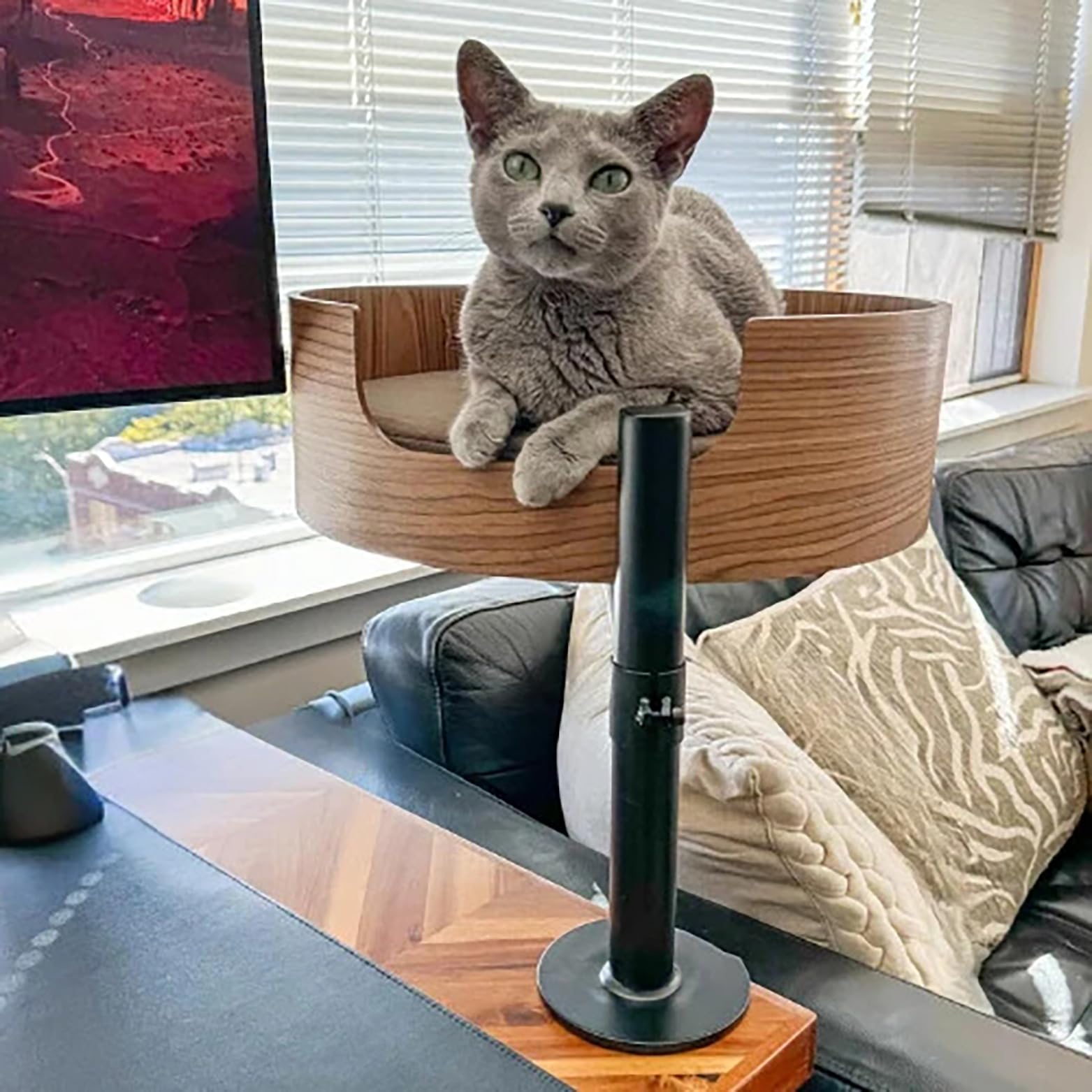Desk Nest® Elevated Cat Bed – Space-Saving 360° Adjustable Pet Bed for Home Office – Supports 25 lbs with Secure Walnut Wood Finish – Stylish & Durable Desk Perch for Cats – Perfect for Work from Home & Small Spaces