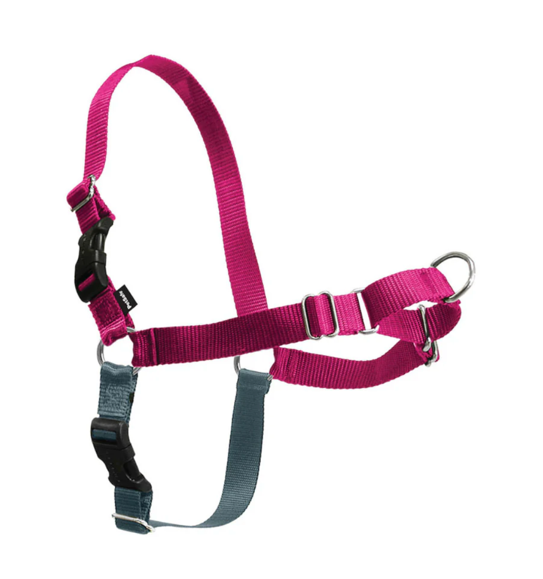 Easy Walk Harness for Small Dogs - Size S (15-20 lbs) - No-Pull Pet Harness for Comfortable & Safe Walking - Perfect for Training, Hiking, and Daily Walks