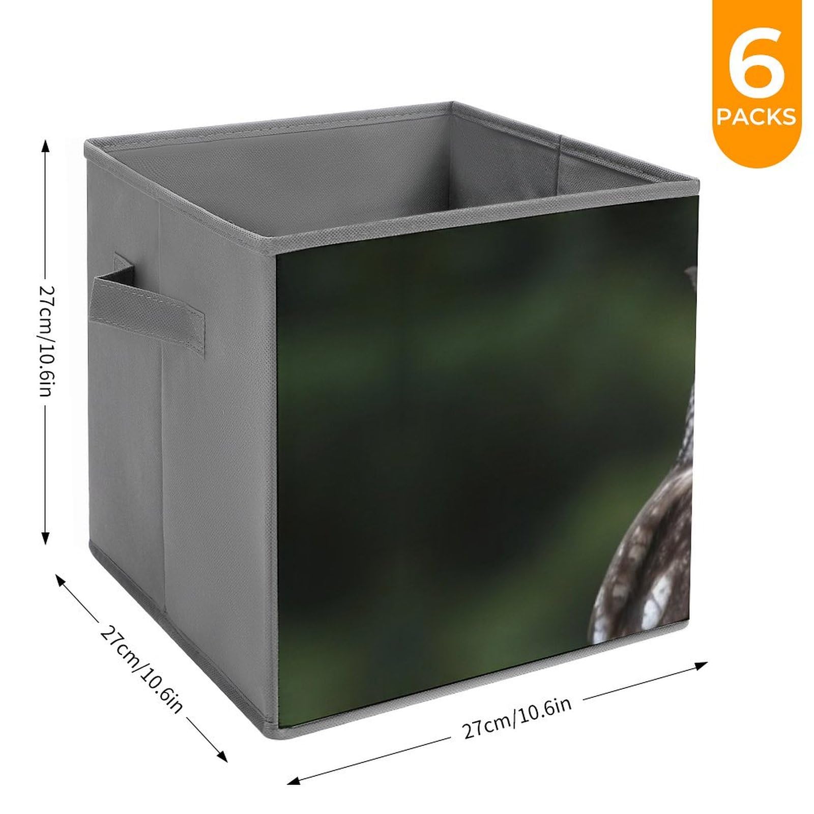 Wild Owl Birds Storage Bins 6-Piece Set - Collapsible Fabric Storage Baskets with Handles for Home Organization, Large Closet Organizer & Clothing Storage Boxes | Perfect for Bedroom, Nursery, Laundry Room & Office