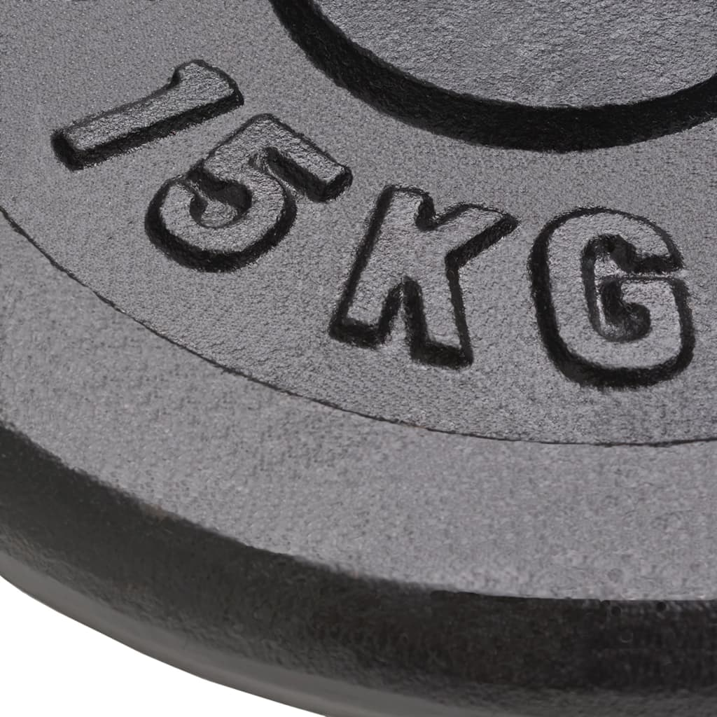 vidaXL 2-Piece 15 kg Cast Iron Weight Plates Set for Home Gym, Strength Training & Weightlifting - Durable Fitness Equipment for CrossFit, Powerlifting & Workout Routines