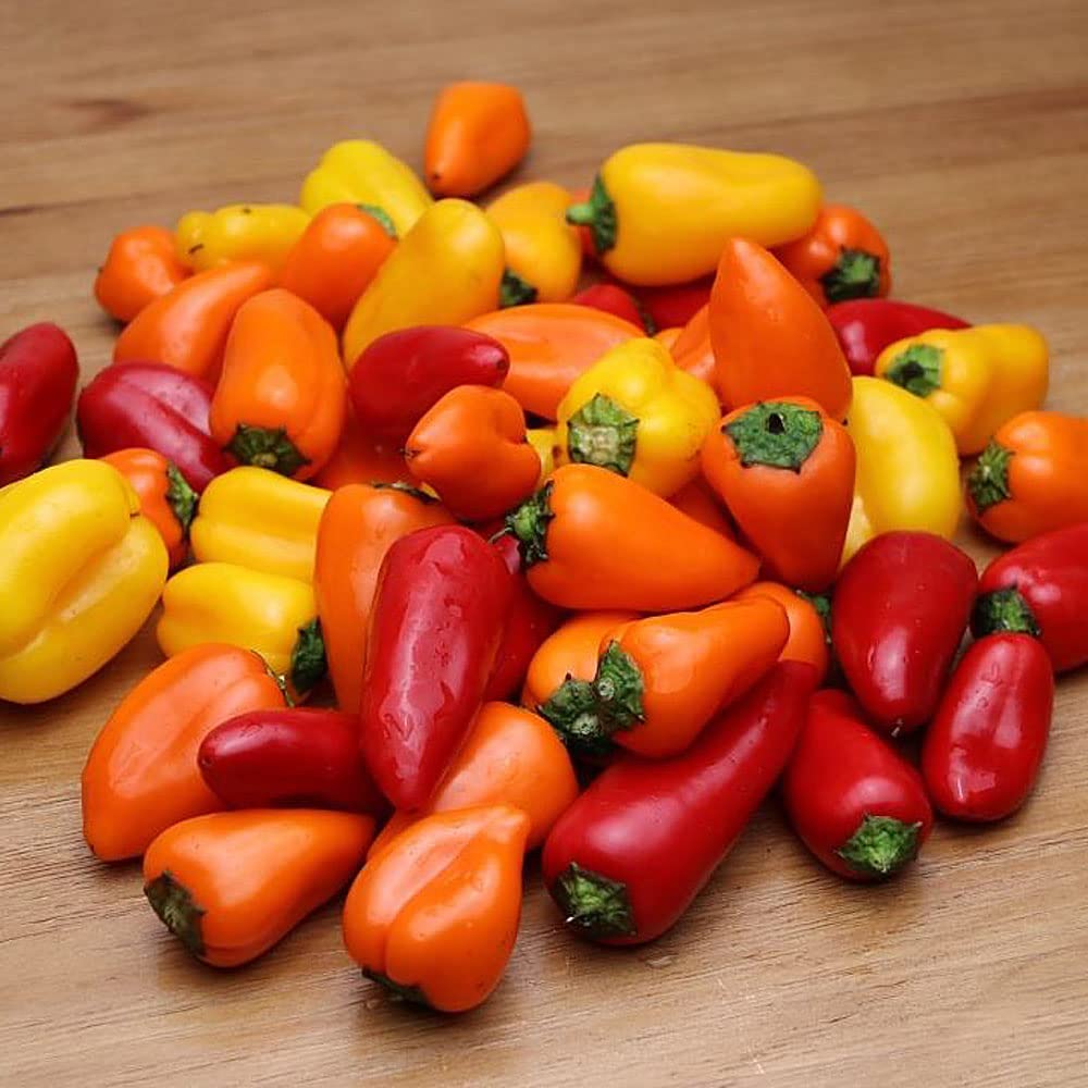Bertmorten Cubanelle Sweet Pepper Seeds - 60+ Non-GMO Heirloom Seeds for Garden, Patio & Container Planting | Perfect for Home Gardening, Fresh Cooking & Canning