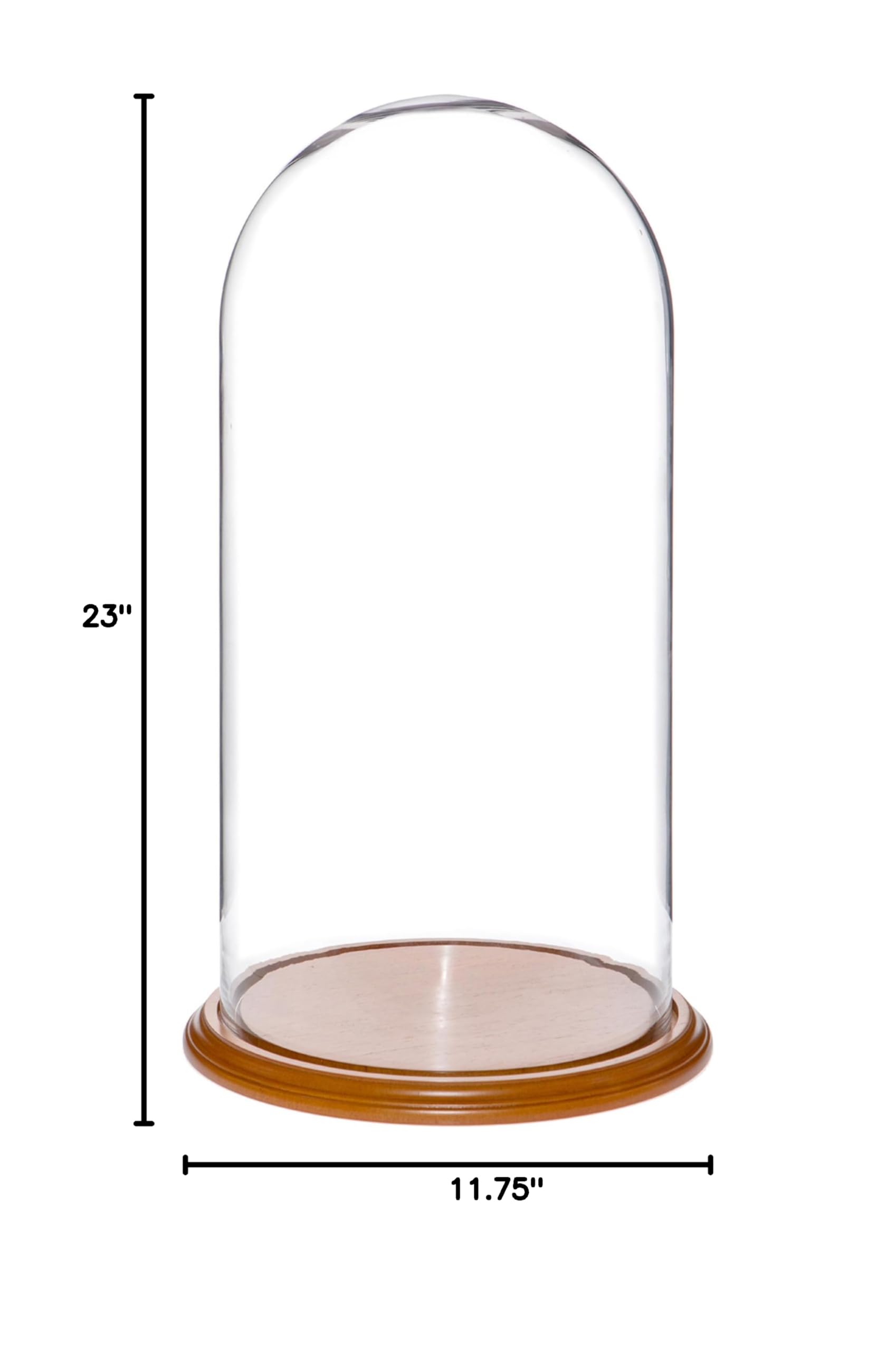 11.75 x 23 Inch Glass Display Dome Cloche with Oak Veneer Base - Perfect for Showcasing Cakes, Pastries, Jewelry & Collectibles