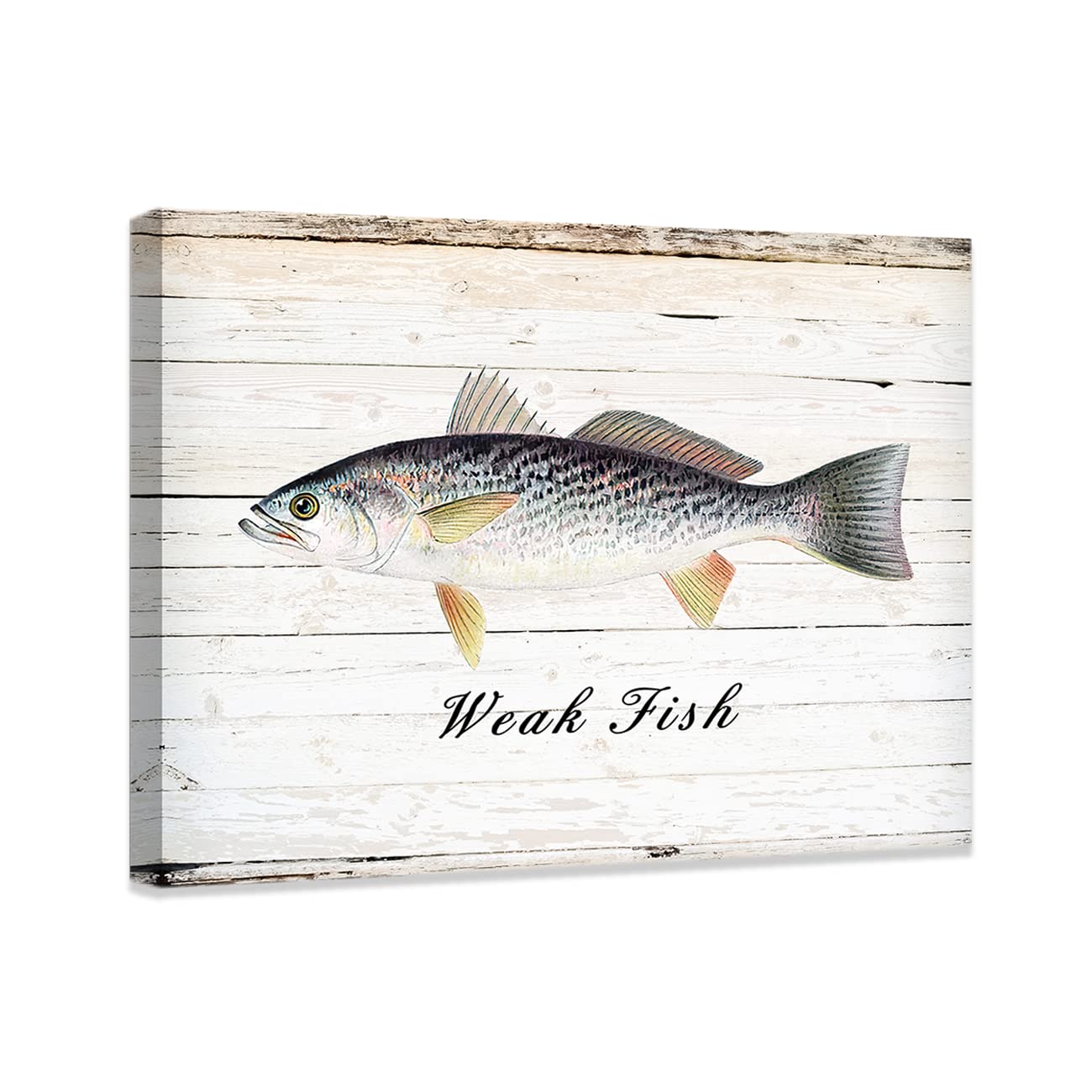 CCWACPP Weak Fish Canvas Wall Art - Fishing Painting Print on Canvas Ready to Hang (24”x36”/60x90cm) - Coastal Home Decor, Office & Living Room Wall Decor