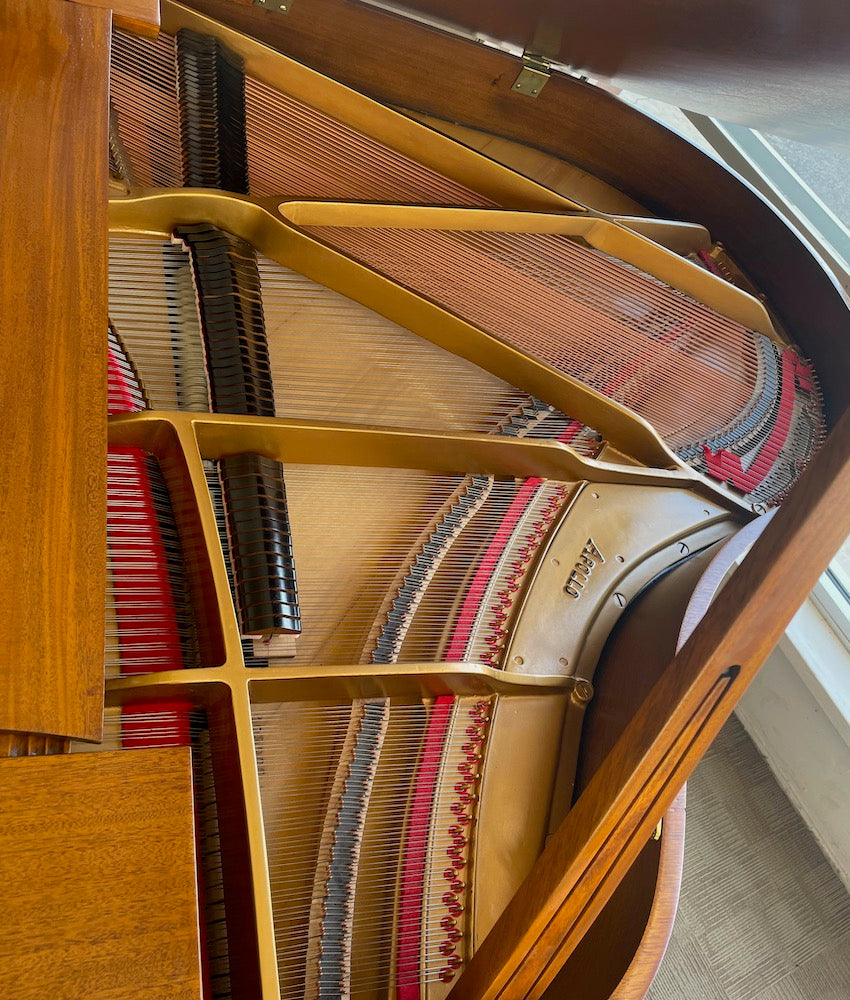 Apollo Baby Grand Piano - Polished Walnut Finish | Premium Used Piano for Home, Studio & Events | Perfect for Beginners, Professionals & Interior Decor