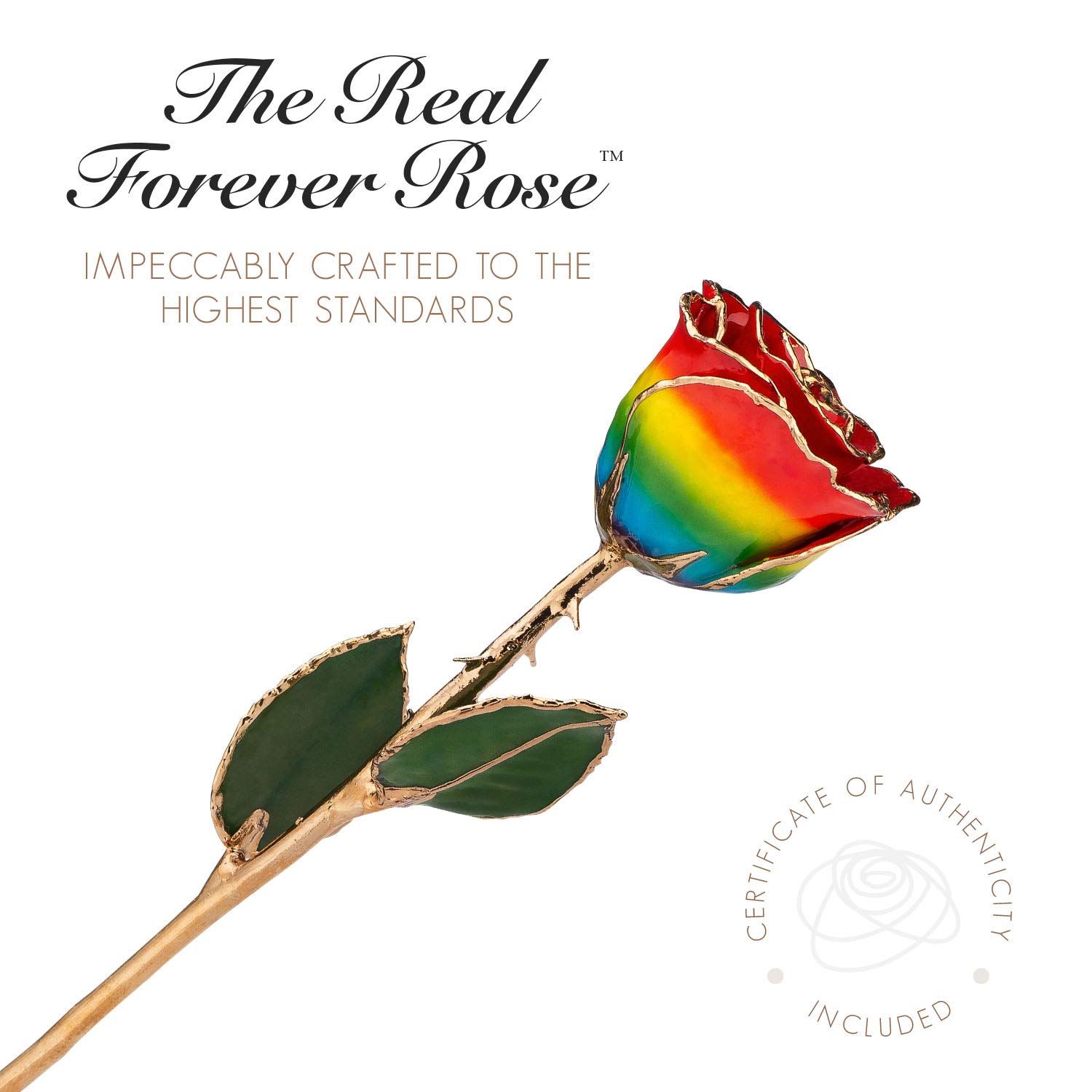 24K Gold Dipped Forever Rose - Real Rainbow Genuine Rose Handcrafted with Lacquer & 24K Gold Trim | Unique Everlasting Romantic Gift for Women & Men | Anniversary, Valentine's Day, Wedding Proposal Gift Idea