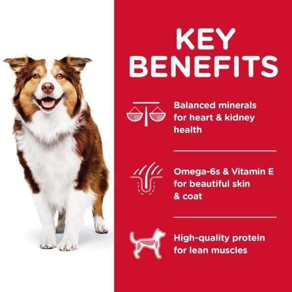 Science Diet Adult 7+ Chicken Meal & Barley Rice Recipe Dry Dog Food - Senior Dog Nutrition for Joint & Digestive Health (5lb, 15lb, 30lb) - Perfect for Aging Dogs' Daily Meals & Weight Management