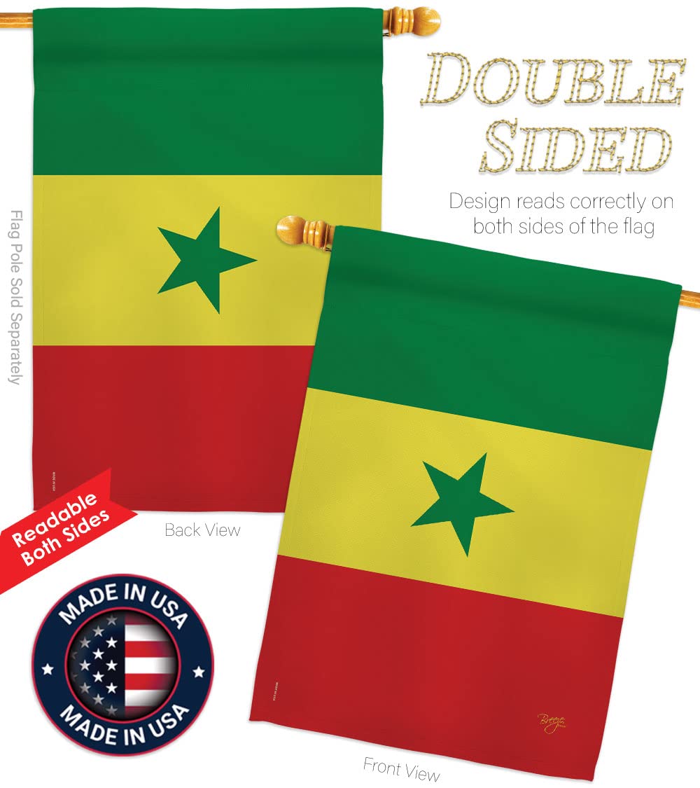Senegal National Flag Set 28x40in w/Pole - Home & Garden Decor