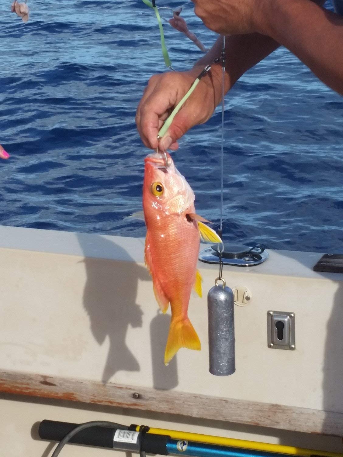 6/0 Deep Drop Snapper Fishing Rig Bundle - 3 Rigs, 2 LED Deep Drop Lights, 2 Heavy Deep Drop Weights for Offshore Bottom Fishing | Perfect for Deep Sea Snapper, Grouper & Tilefish Angling