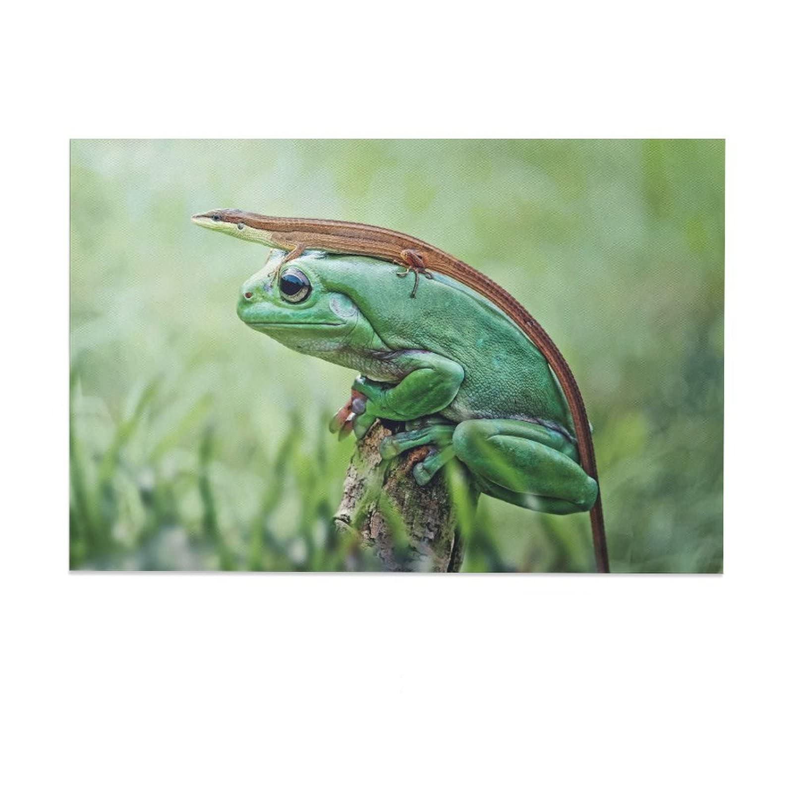 Animals Gecko Frog Canvas Wall Art Poster - 12x18inch (30x45cm) - Nature Themed Decor for Living Room, Bedroom & Office - Perfect Gift for Animal Lovers & Home Decoration