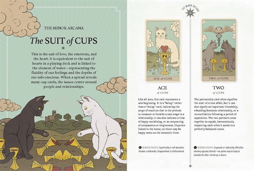 Cats Rule the Earth Tarot Deck - 78-Card Mystical Cat Tarot Set for Divination, Spiritual Guidance & Fortune Telling | Perfect for Beginners, Witches & Cat Lovers (Divination, Meditation, Gift Idea)