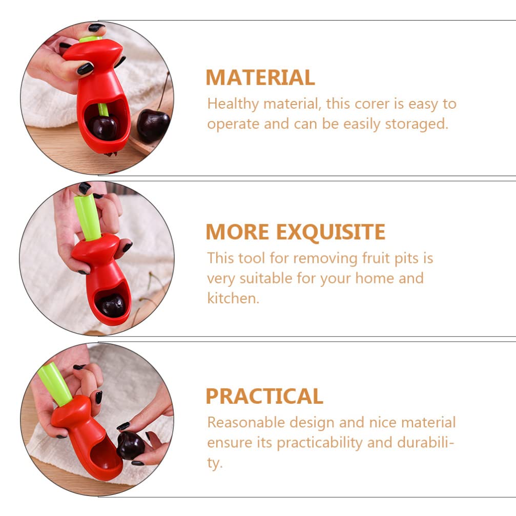Hemoton 2-Pack Cherry Pitter and Fruit Core Remover - Handheld Stainless Steel Cherry Pitter Tool for Cherries, Olives, Grapes & Dates - Perfect for Baking, Jam Making and Fruit Salad Prep