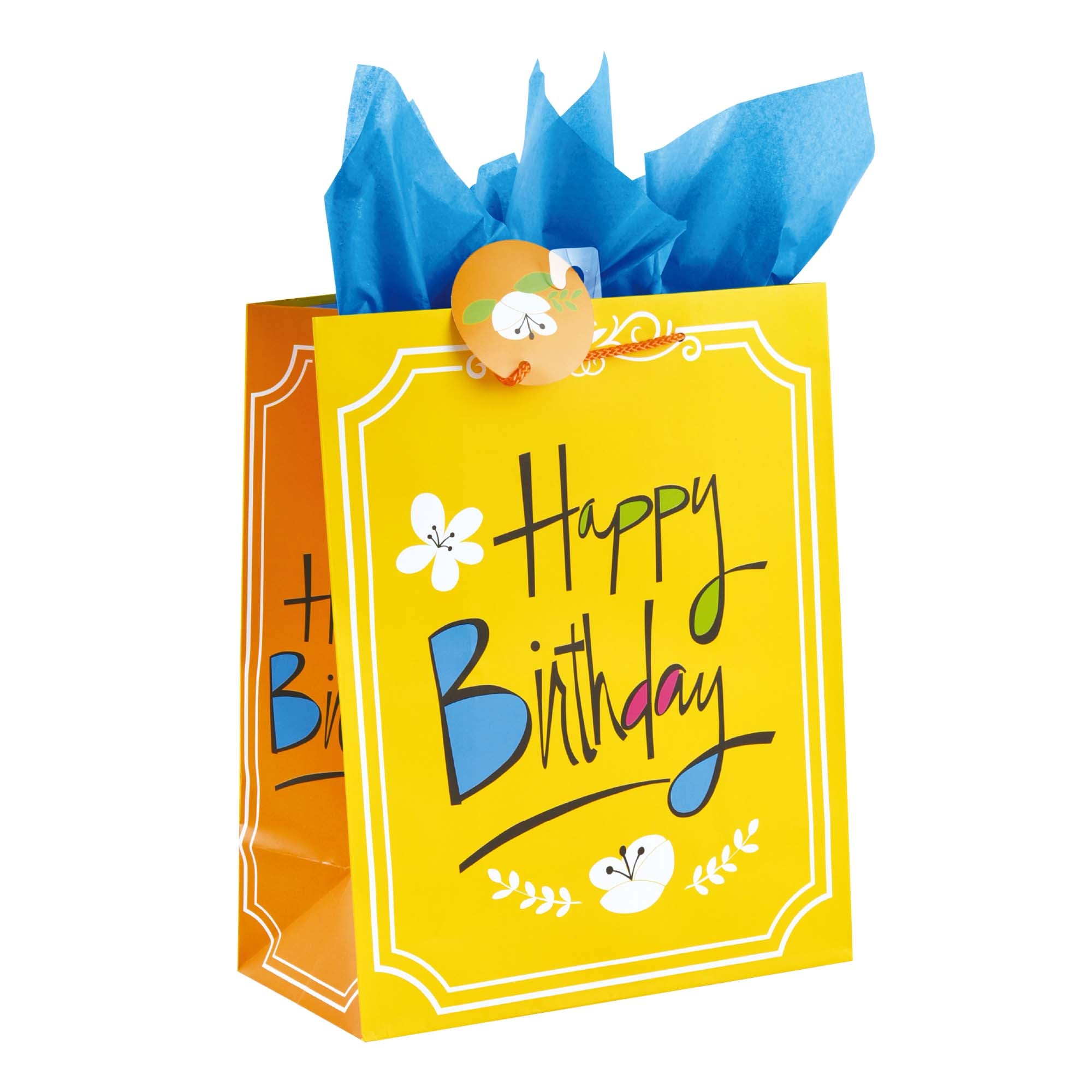 Large Hip Hip Hooray Birthday Party Printed Bags - 4 Fun Designs for Celebration, Gift Giving & Party Decorations