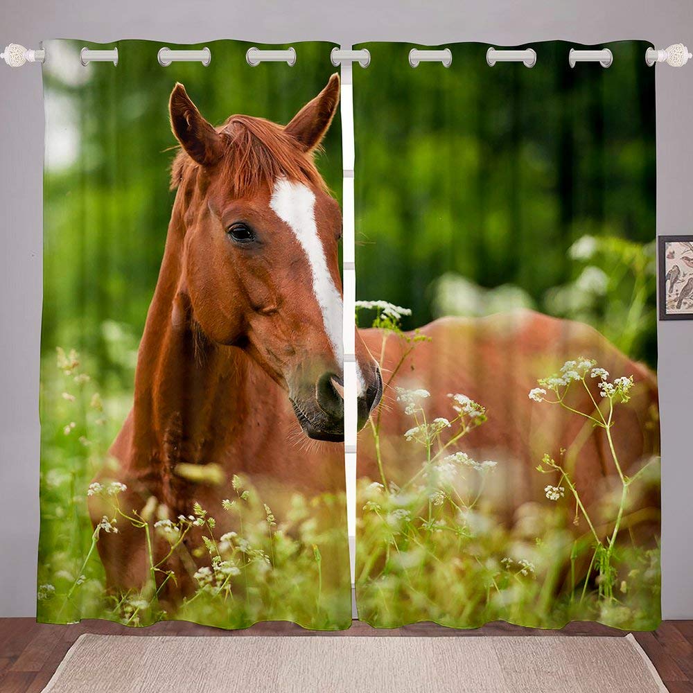 Erosebridal Kids Horse Curtains - Brown Animal Theme for Boys Bedroom Decor, 52