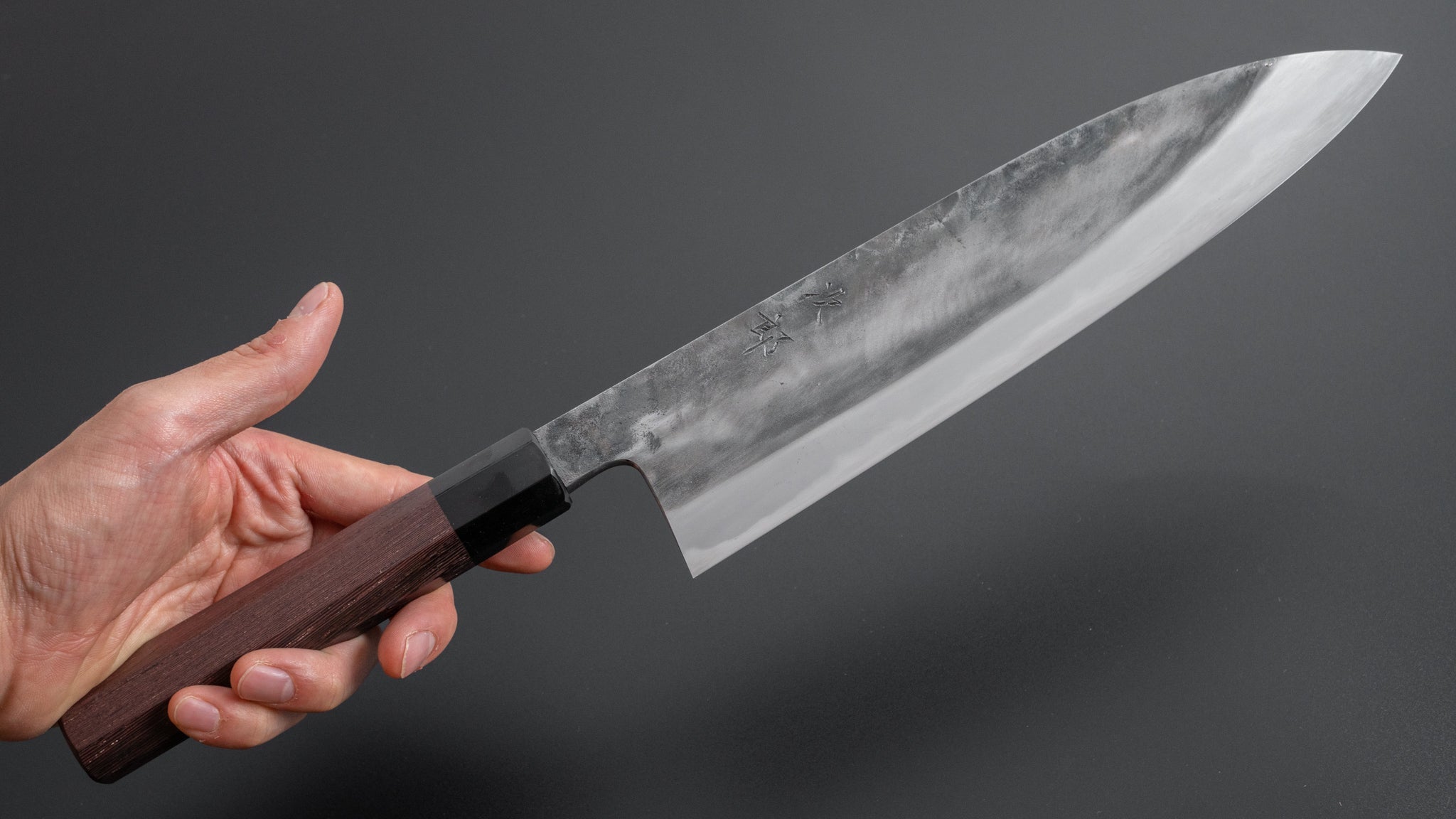 Premium Jiro Tsuchime Wa Gyuto 240mm Japanese Chef Knife with Taihei Tagayasan Handle - Perfect for Sushi, Meat Slicing & Professional Kitchen Use