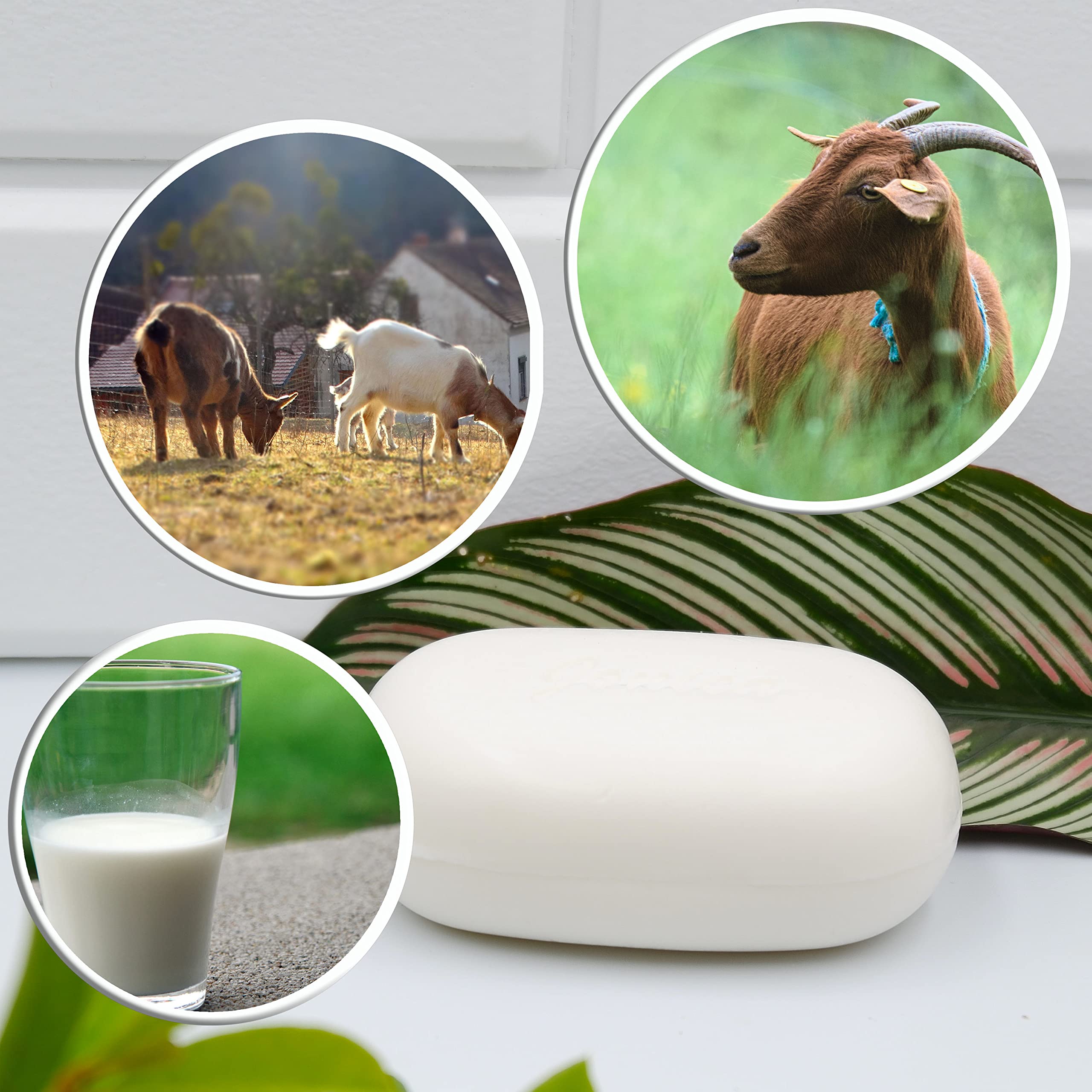 Gentle Goat Milk Soap for Sensitive Skin - Moisturizing, Nourishing & Hydrating Cleanser - 3.5oz (3-Pack) - Perfect for Daily Face & Body Wash, Baby Bath & Dry Skin Care