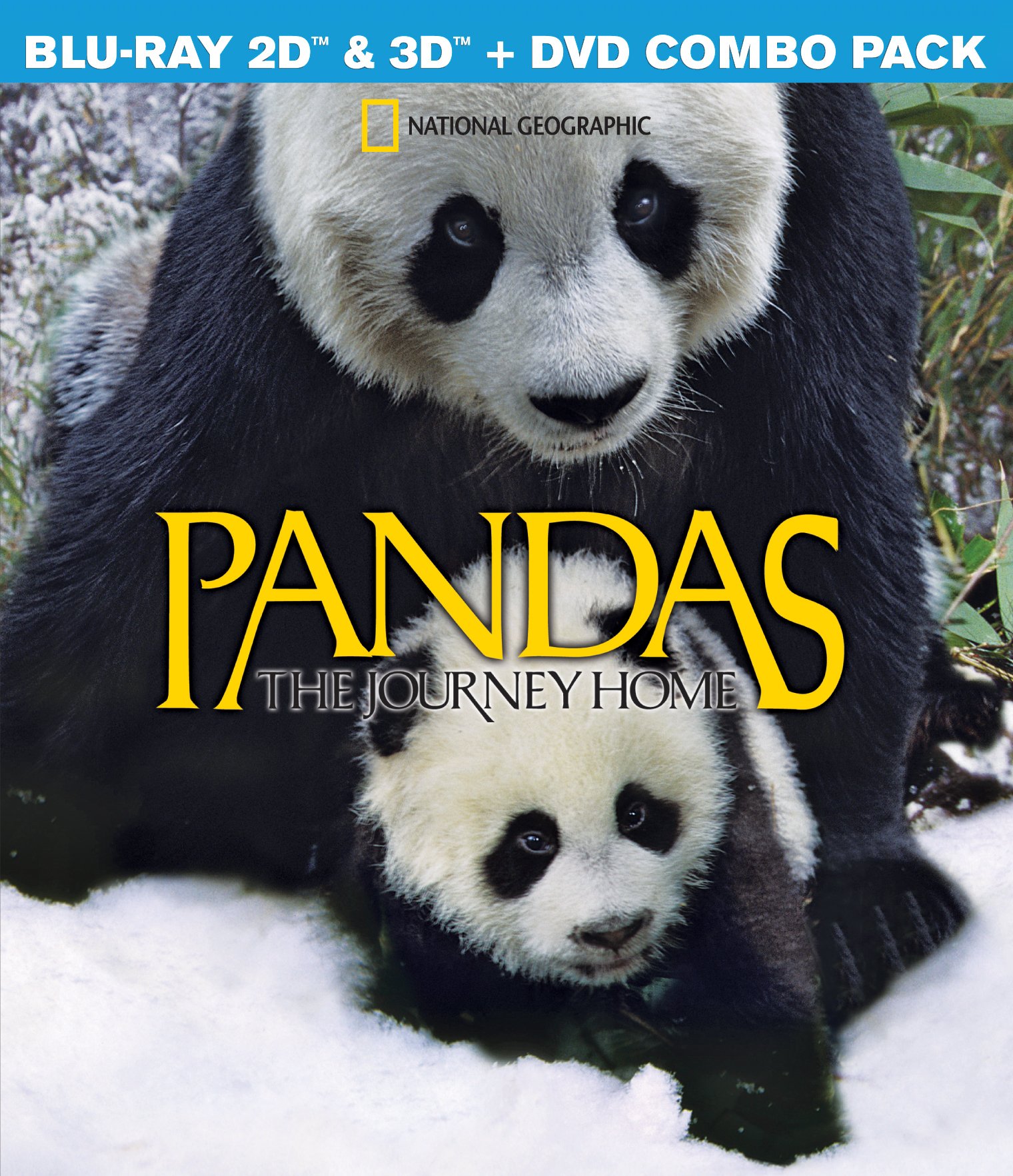 Pandas: The Journey Home - A Heartwarming Wildlife Documentary for Nature Lovers & Family Movie Nights