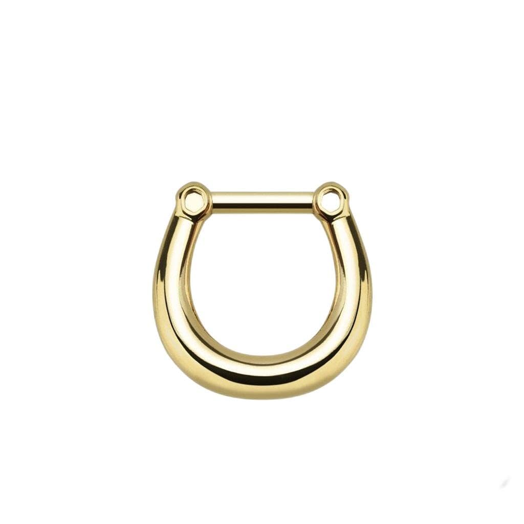 16G Hinged Septum Clicker Ring - Choose Your Color for Nose, Lip & Ear Cartilage Piercing | Perfect for Everyday Wear & Special Occasions