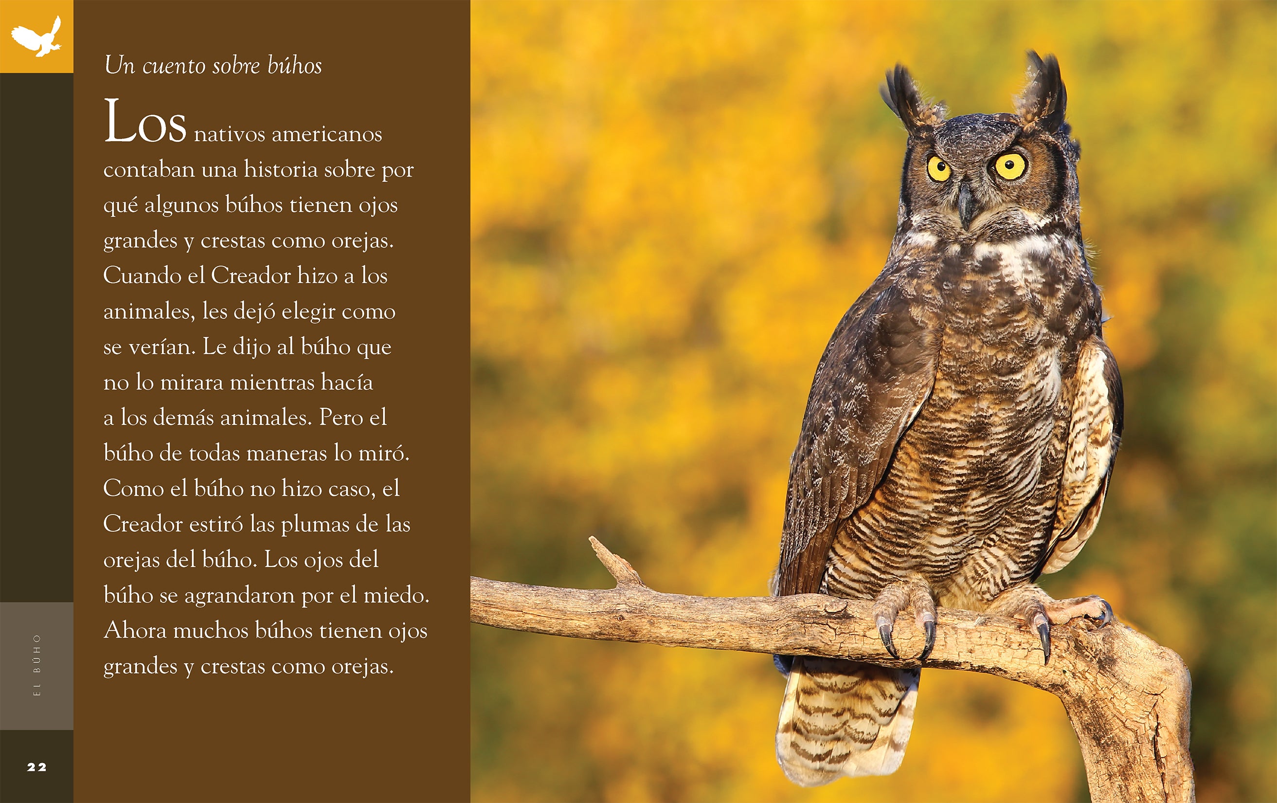El Buho 9781640264700 - Beautiful Owl-Themed Notebook for Journaling, Note Taking & Creative Writing - Perfect for Students, Artists & Nature Lovers