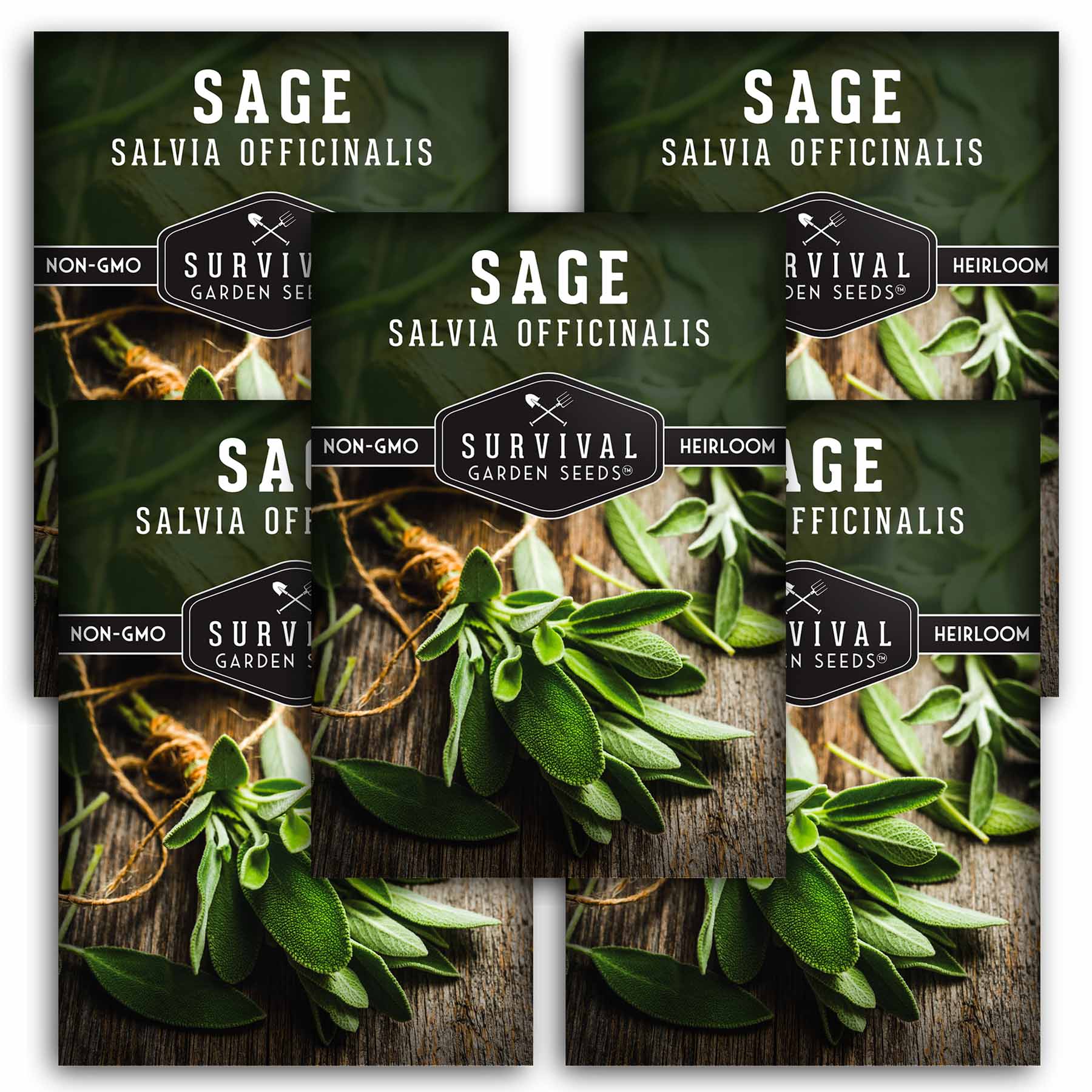 Organic Culinary Sage Seeds for Planting - Non-GMO Herb Garden Starter Kit - Perfect for Cooking, Tea, and Aromatherapy - Indoor & Outdoor Use