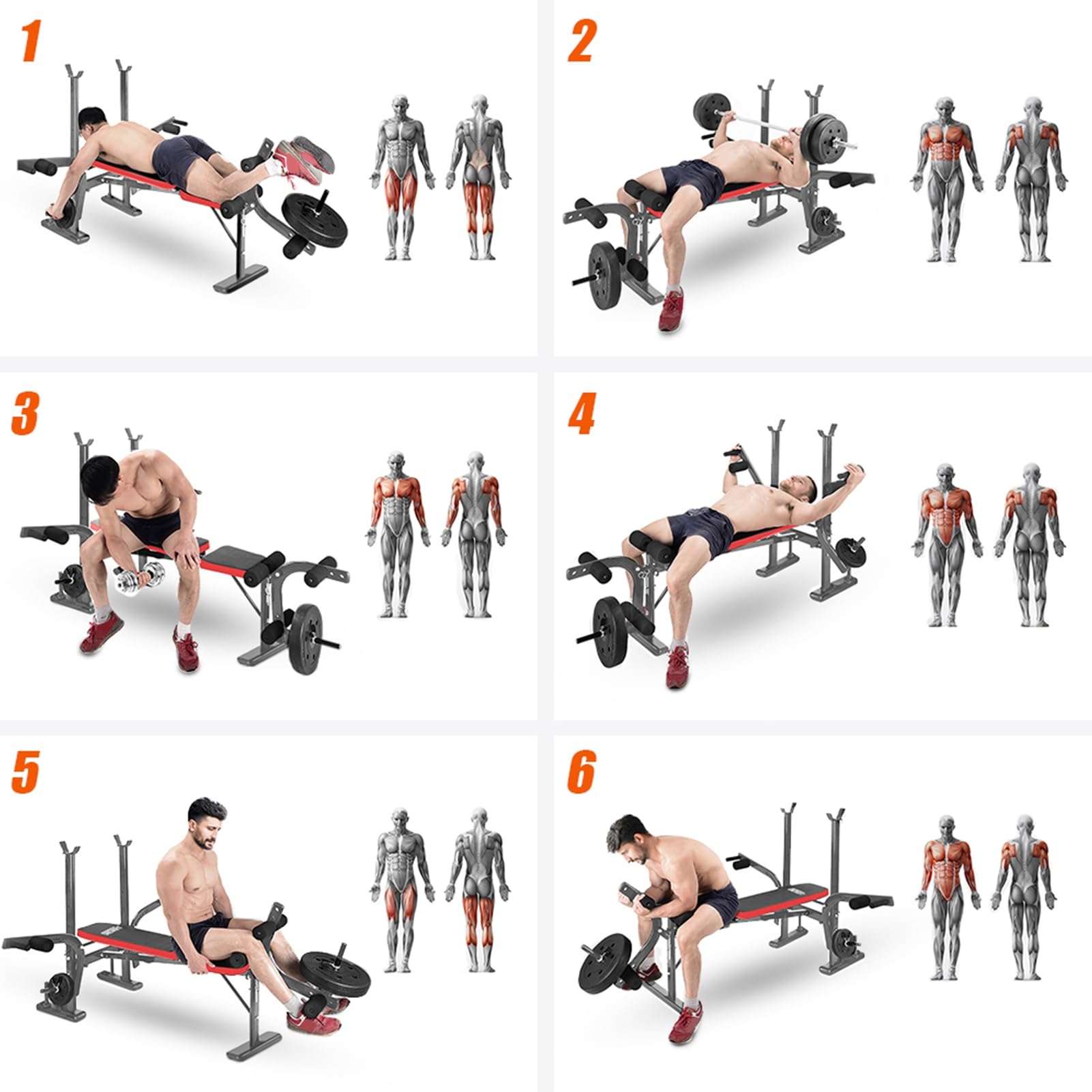 **Adjustable Weight Bench for Home Gym - Standard Weight Bench with Preacher Curl Pad & Leg Developer - Full Body Workout Equipment for Strength Training & Fitness - Perfect for Squats, Bench Press & Leg Workouts**