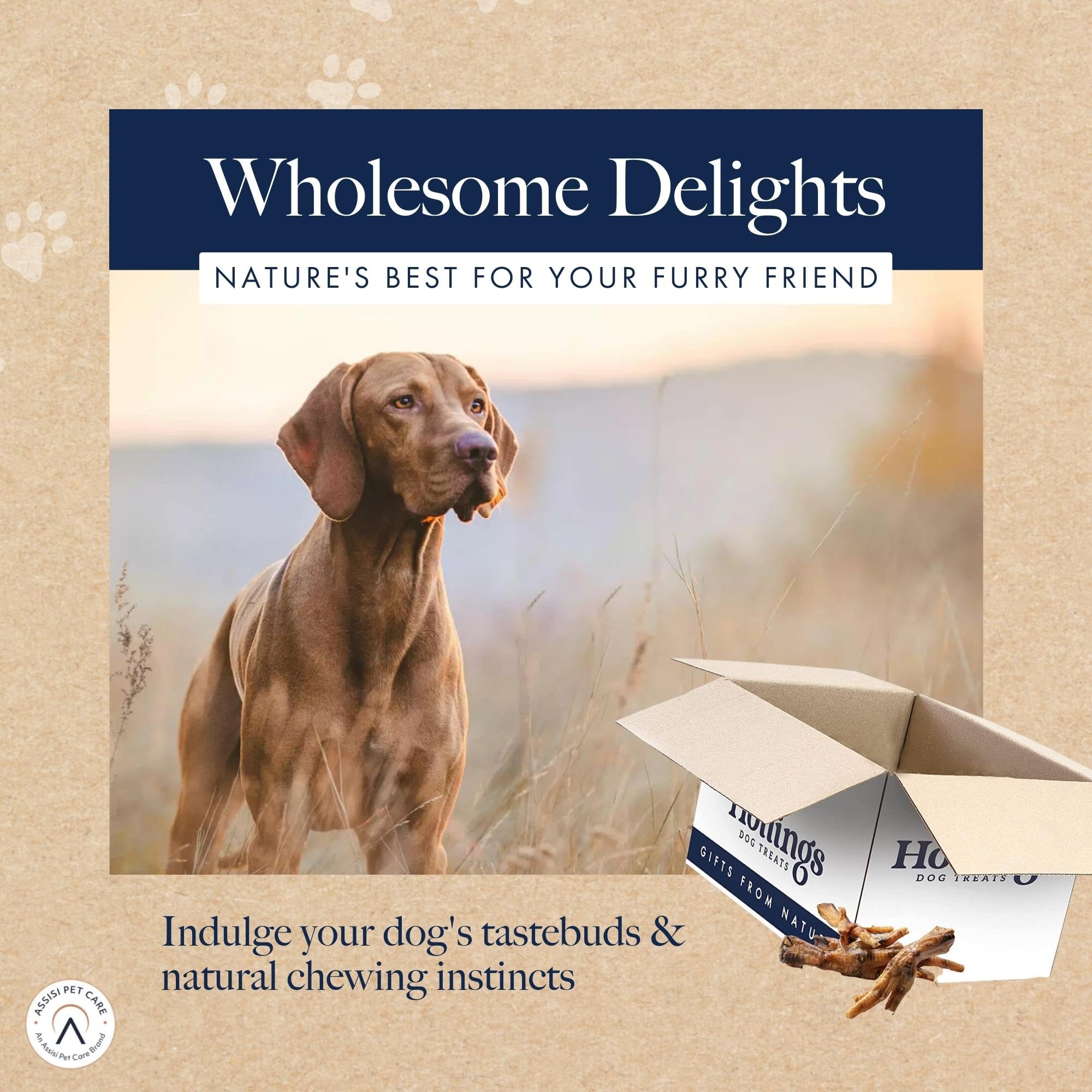 **Hollings 100% Natural Chicken Feet Dog Treats – Grain-Free, High-Protein, Crunchy Snacks for Adult Dogs (2kg) – Perfect for Training, Rewards & Dental Health**
