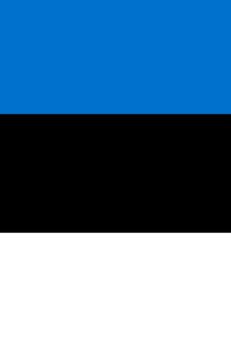 Estonia Flag Notebook - 100 Pages Lined Journal for Writing, Notes & Planning | Perfect for School, Office & Travel | Patriotic Gift Idea
