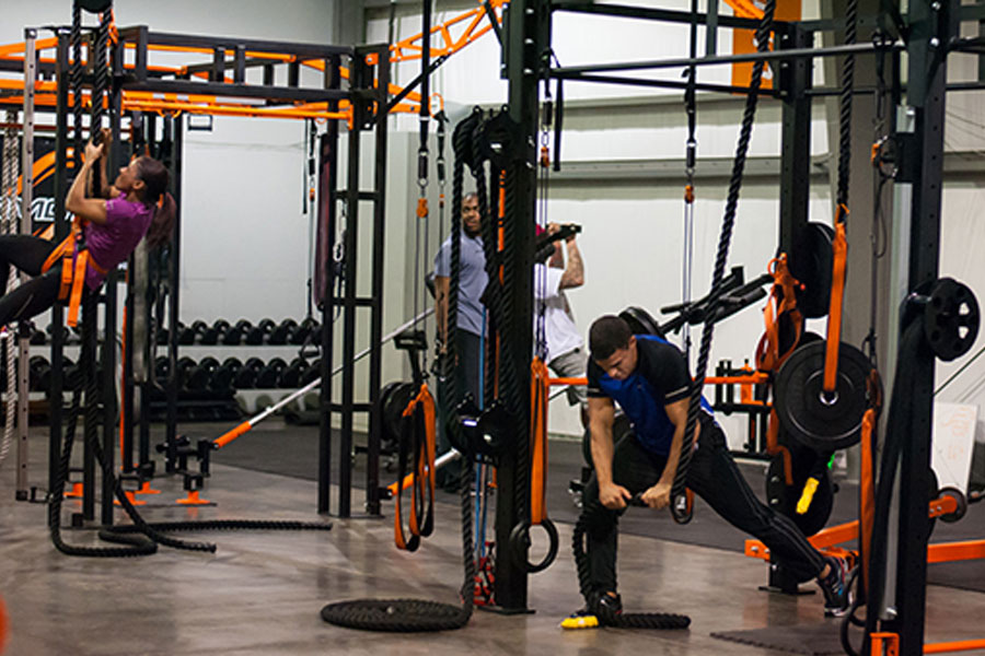 Purmotion FTS 200 Club Model Training Station - Professional Gym Equipment for Home & Commercial Use - Perfect for Strength Training, CrossFit, and Functional Fitness Workouts