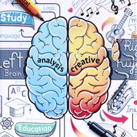 001 Brain