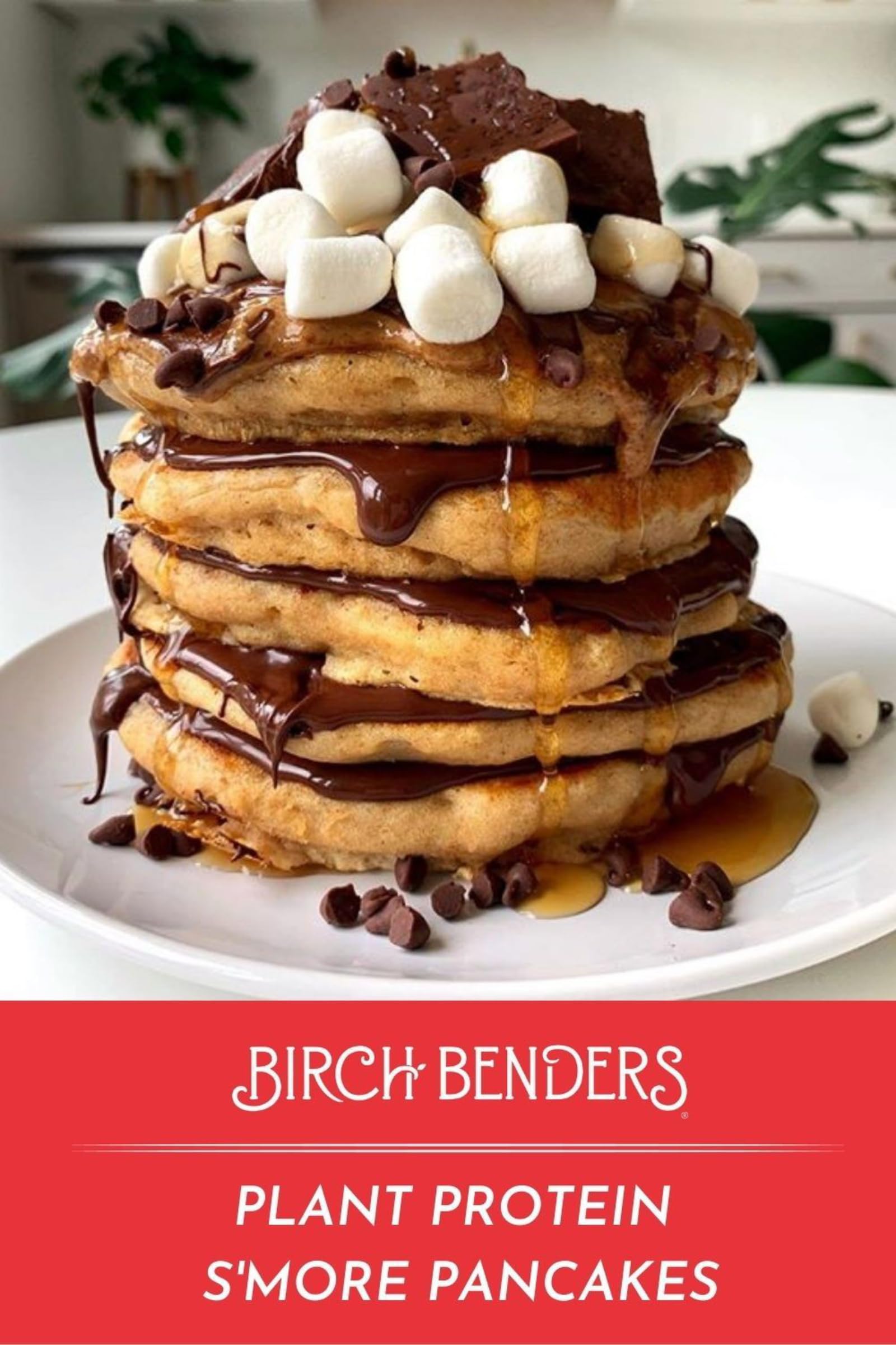 Birch Benders Plant Protein Pancake & Waffle Mix - 14 Oz (Pack of 6) | High Protein Breakfast Mix for Healthy Morning Meals, Post-Workout Recovery & Family Brunch