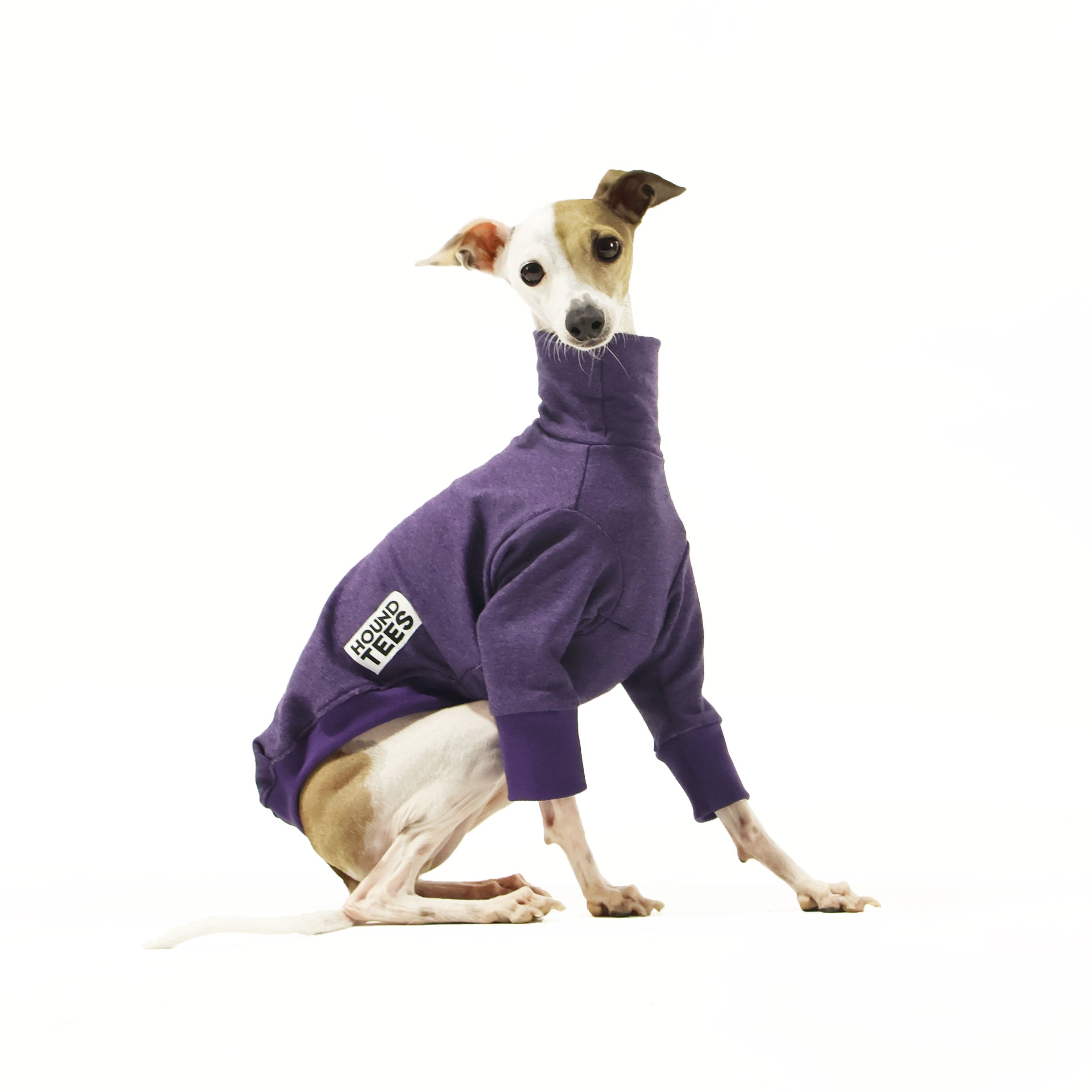 Octopus Italian Greyhound Sweater - Cute Dog Sweater for Small Breeds, Warm & Comfortable Knitwear for Italian Greyhounds - Perfect for Winter Walks & Indoor Coziness