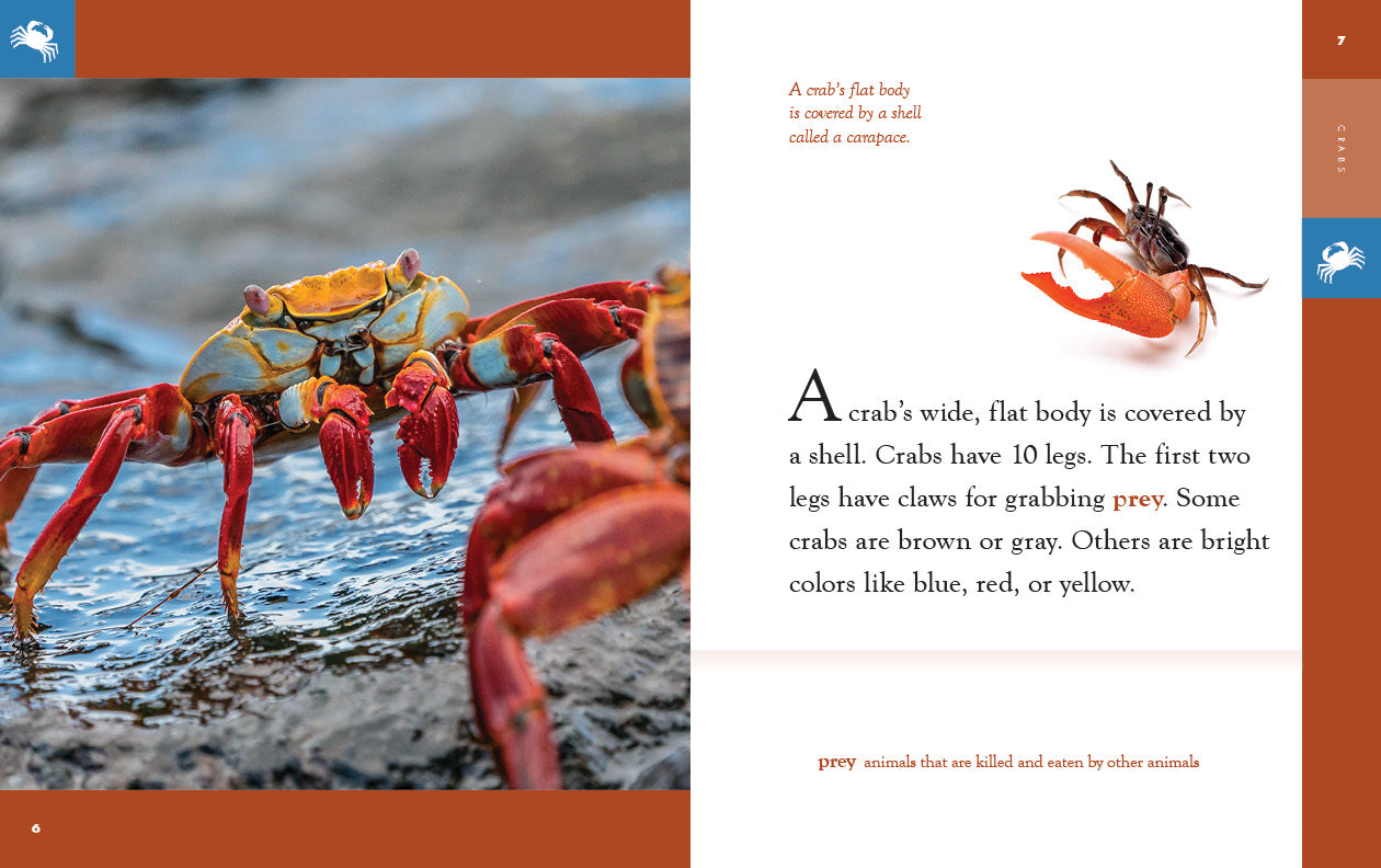 Crabs - 9781640265615 | Marine Life Book for Kids & Adults | Perfect for Ocean-Themed Gifts & Educational Learning