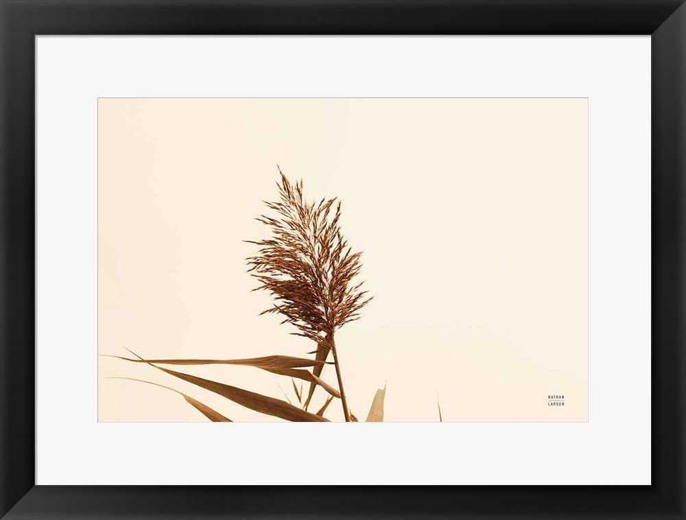Summer Reeds I by Nathan Larson - Framed Art Print Wall Picture with Black Frame, 25 x 19 Inches - Perfect for Living Room, Bedroom & Office Decor