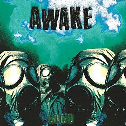 Awake Blind - Blackout Roller Shades for Windows, Light Blocking & Privacy Protection - Perfect for Bedrooms, Nurseries & Home Offices